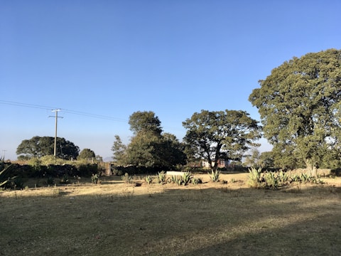 An expansive plot of land in Cabo Norte, ideal for development.