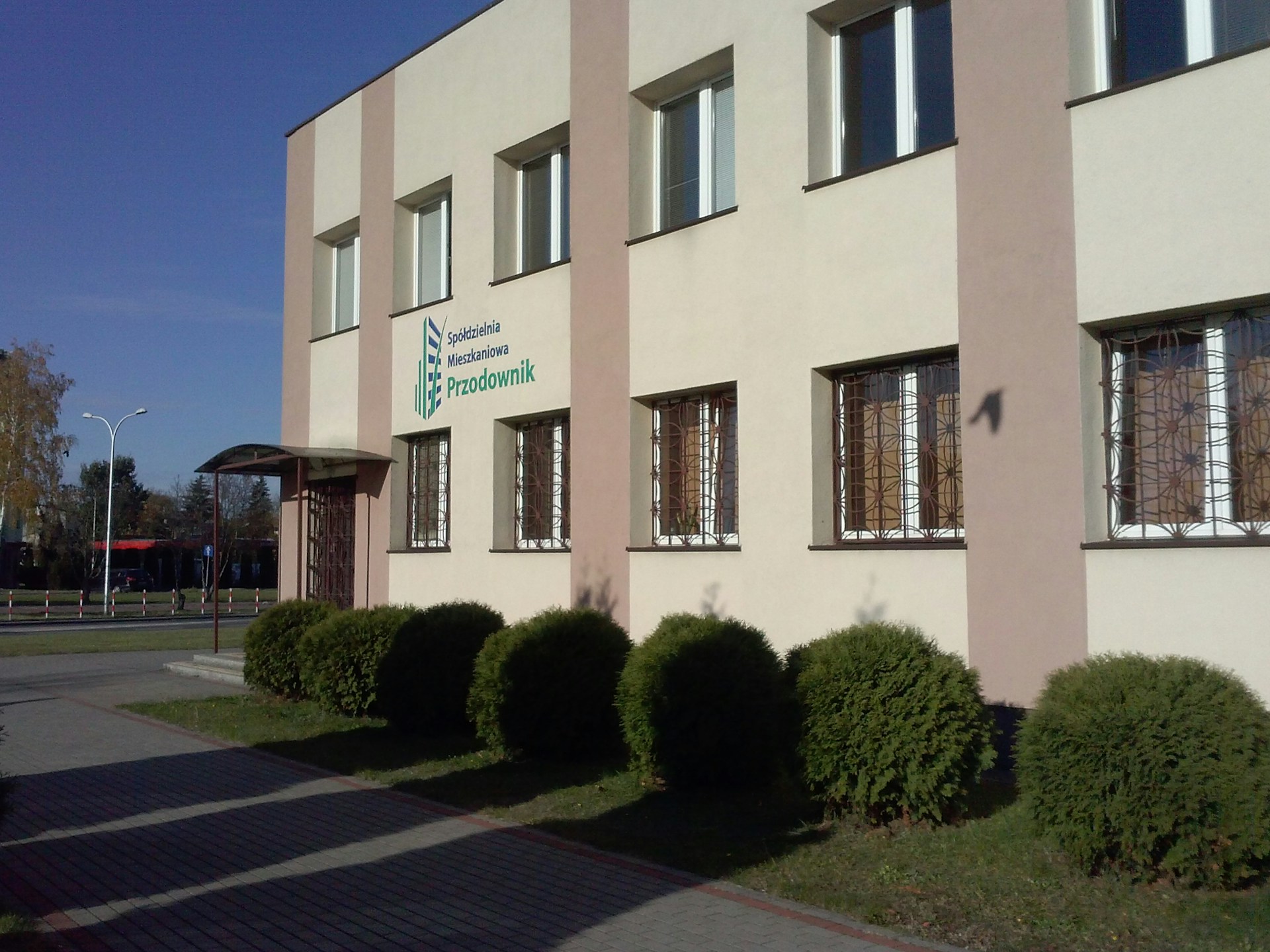 woman wearing yellow long-sleeved dress under white clouds and blue sky during daytime