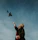 graduate tossing cap into sky