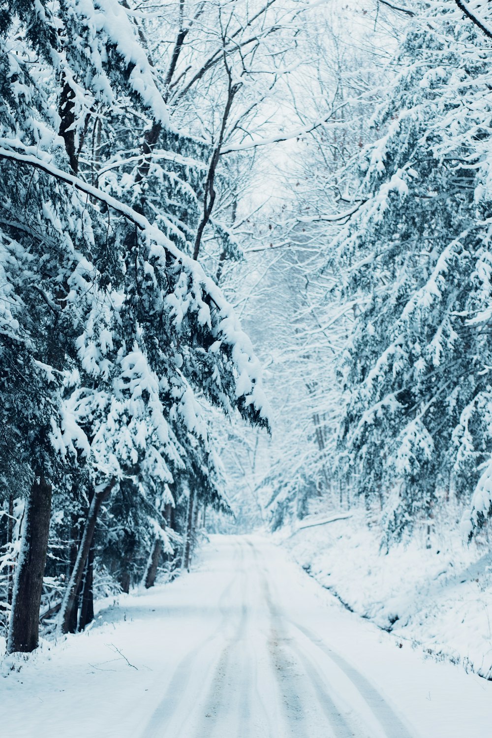 a snow covered road surrounded by trees and snow