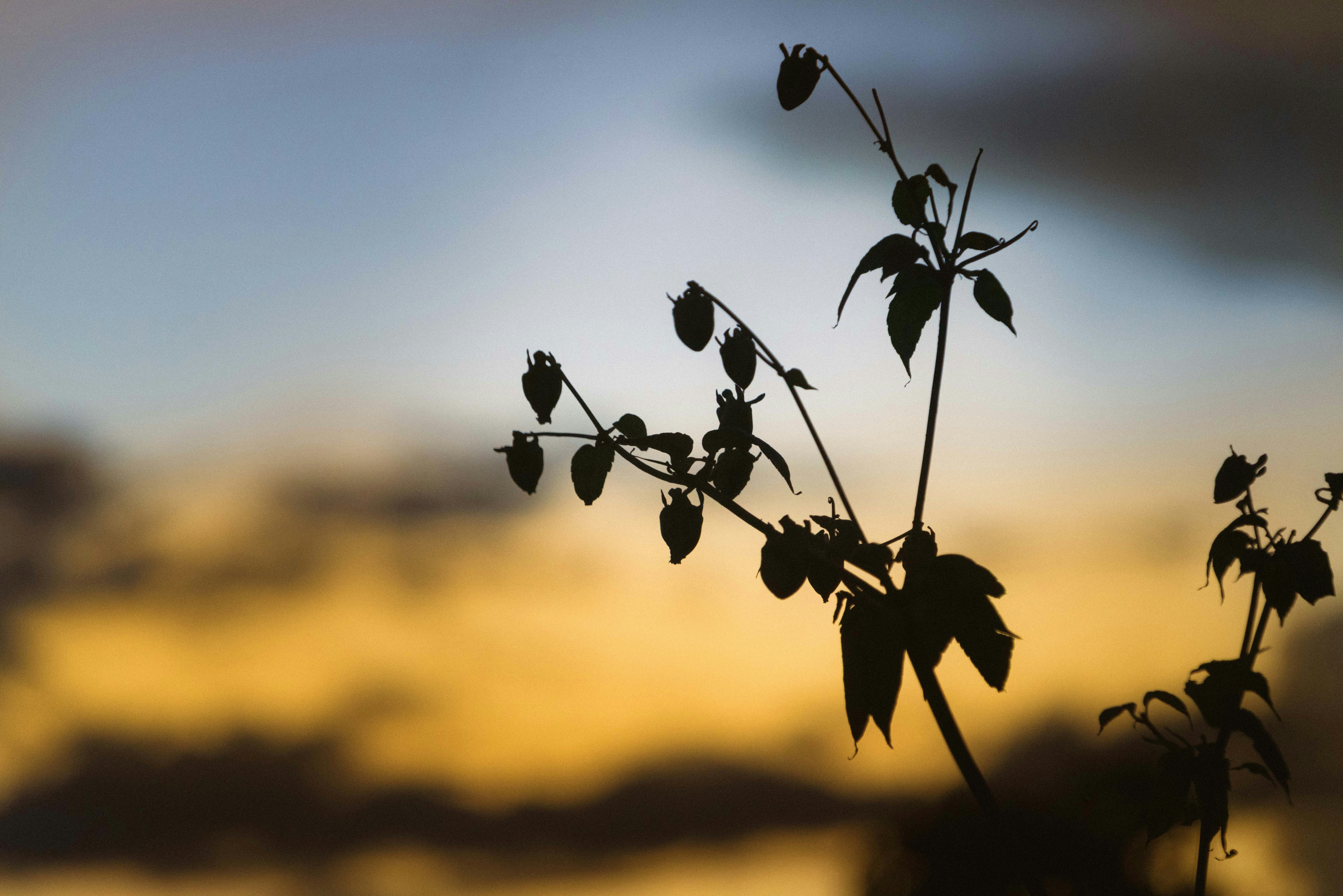 Photo by annastampfli