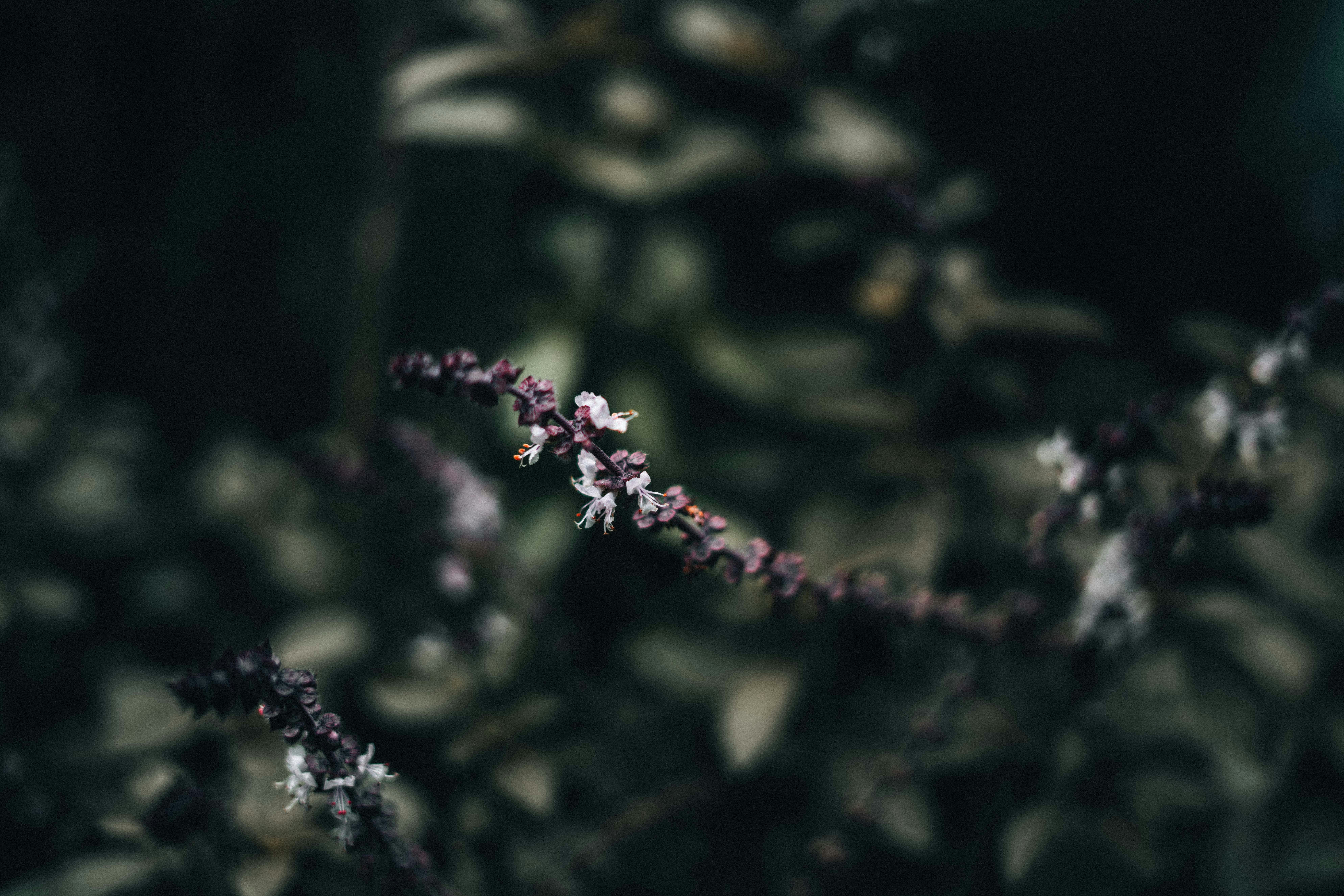 Photo by annastampfli