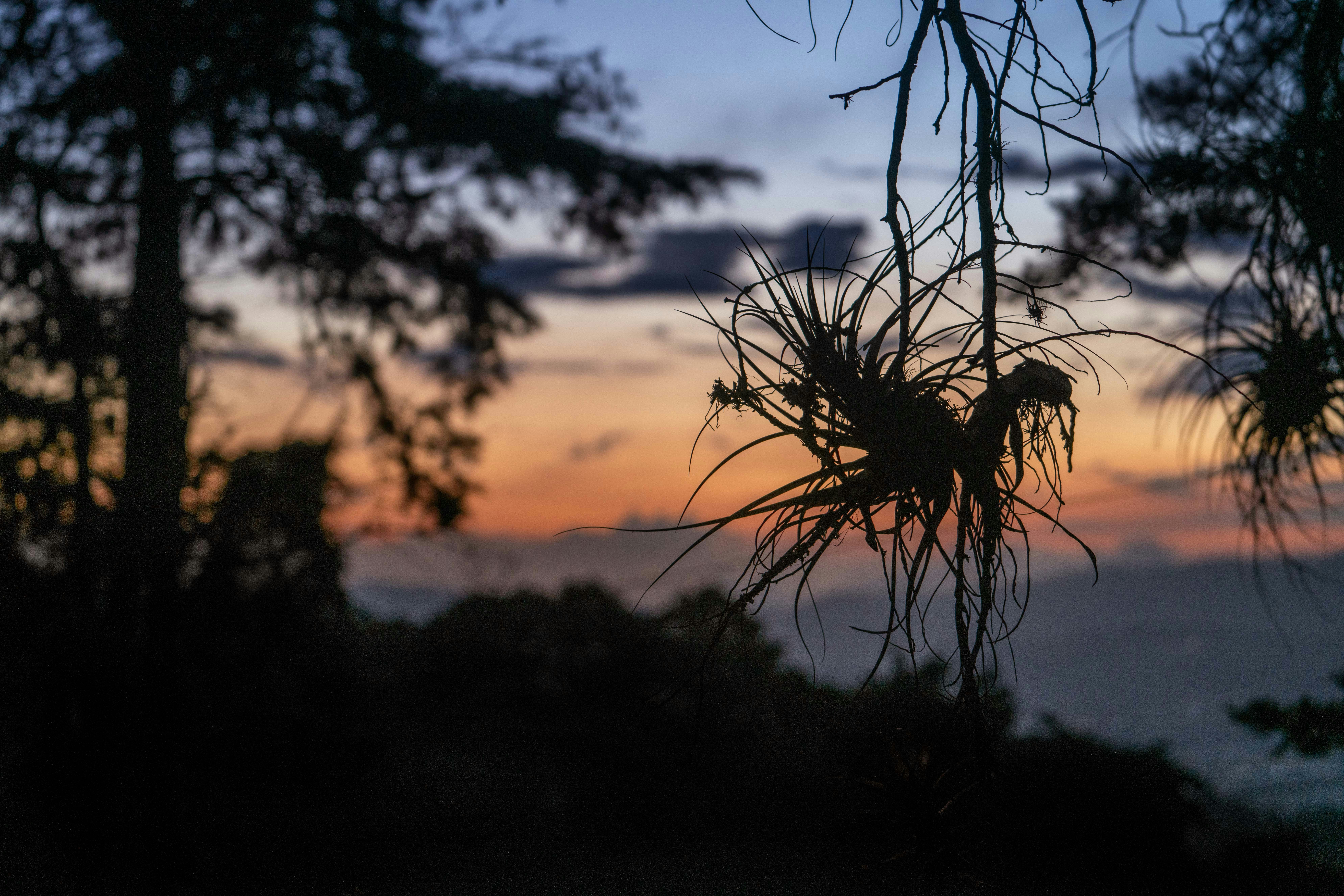 Photo by annastampfli