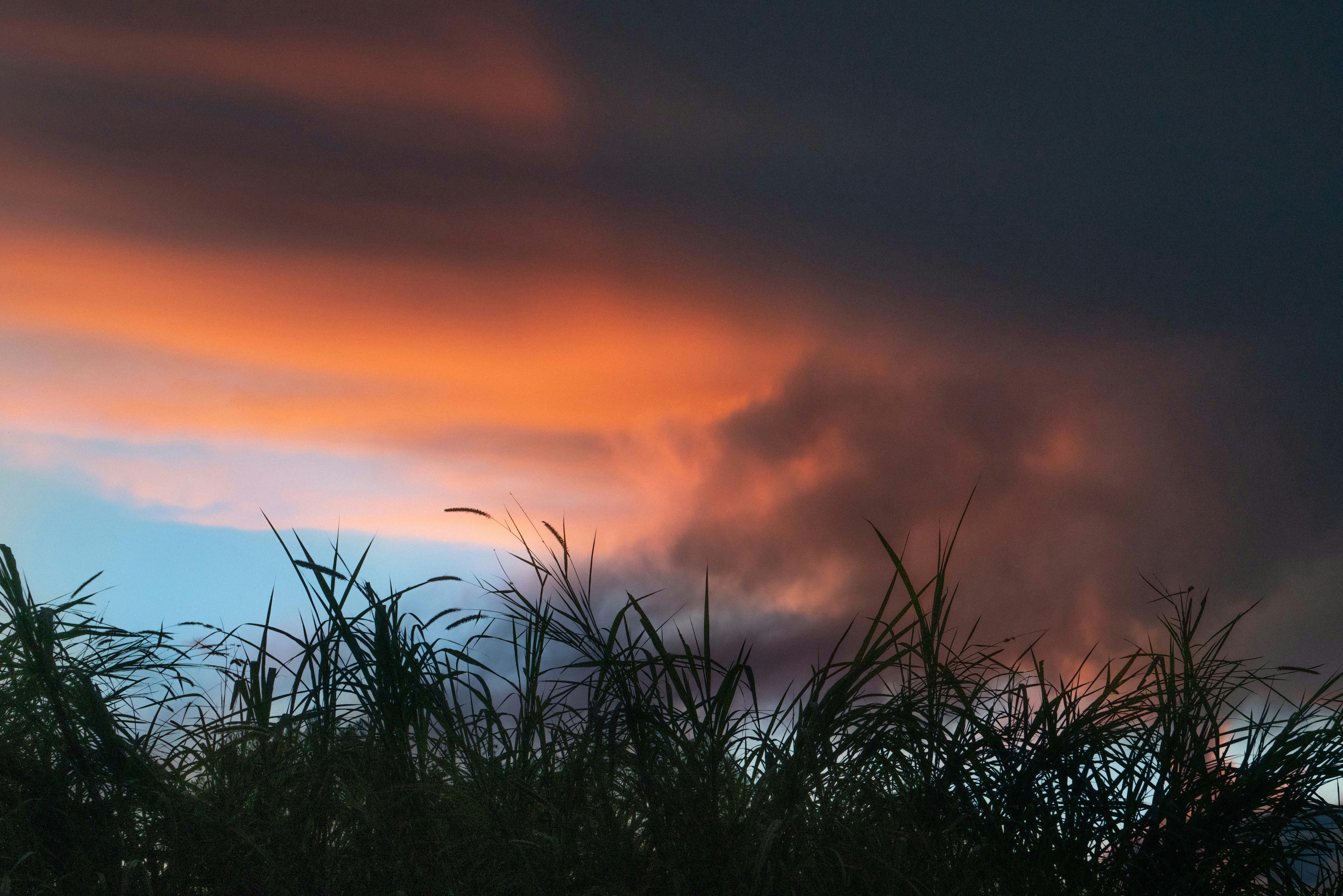 Photo by annastampfli