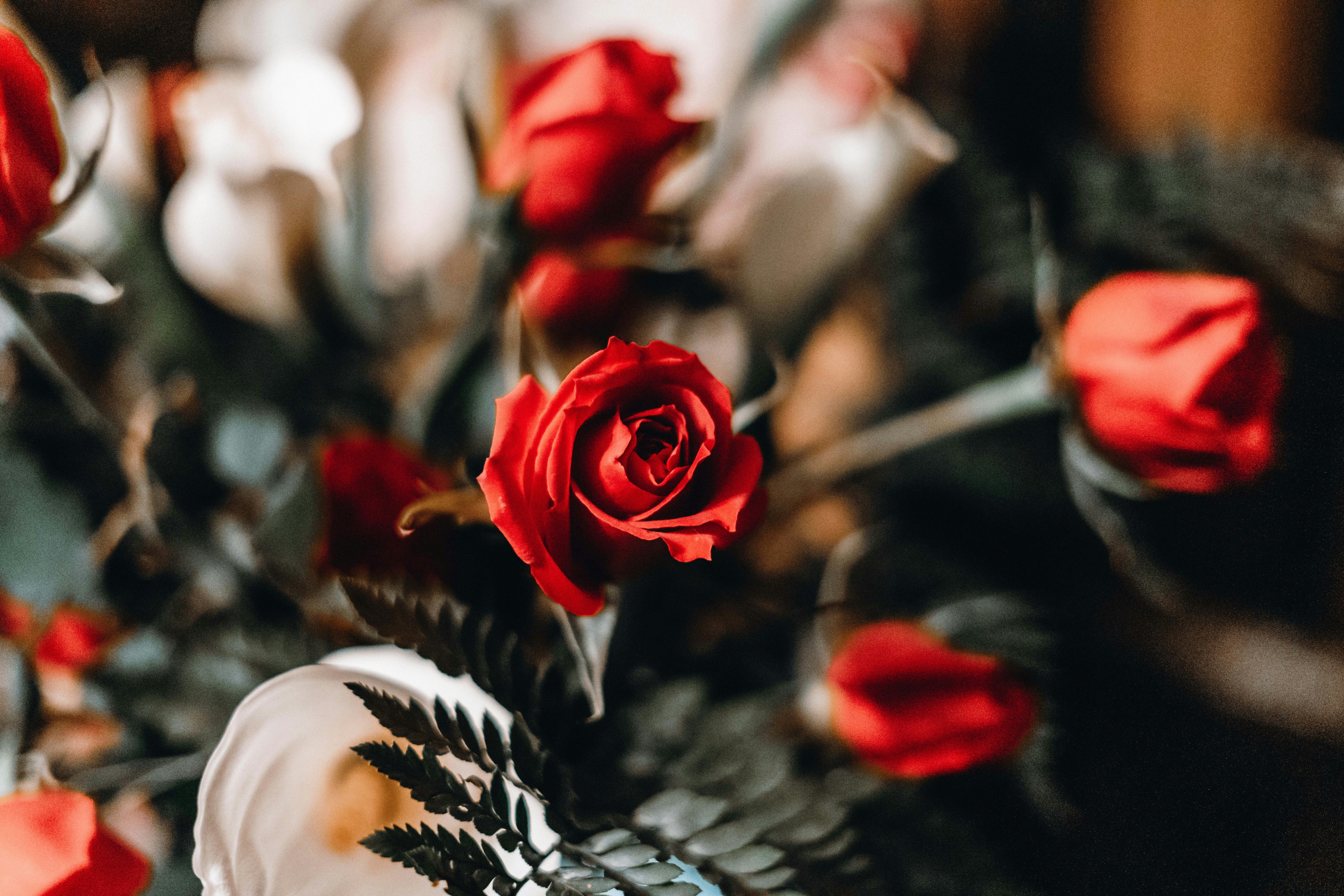 Photo by annastampfli