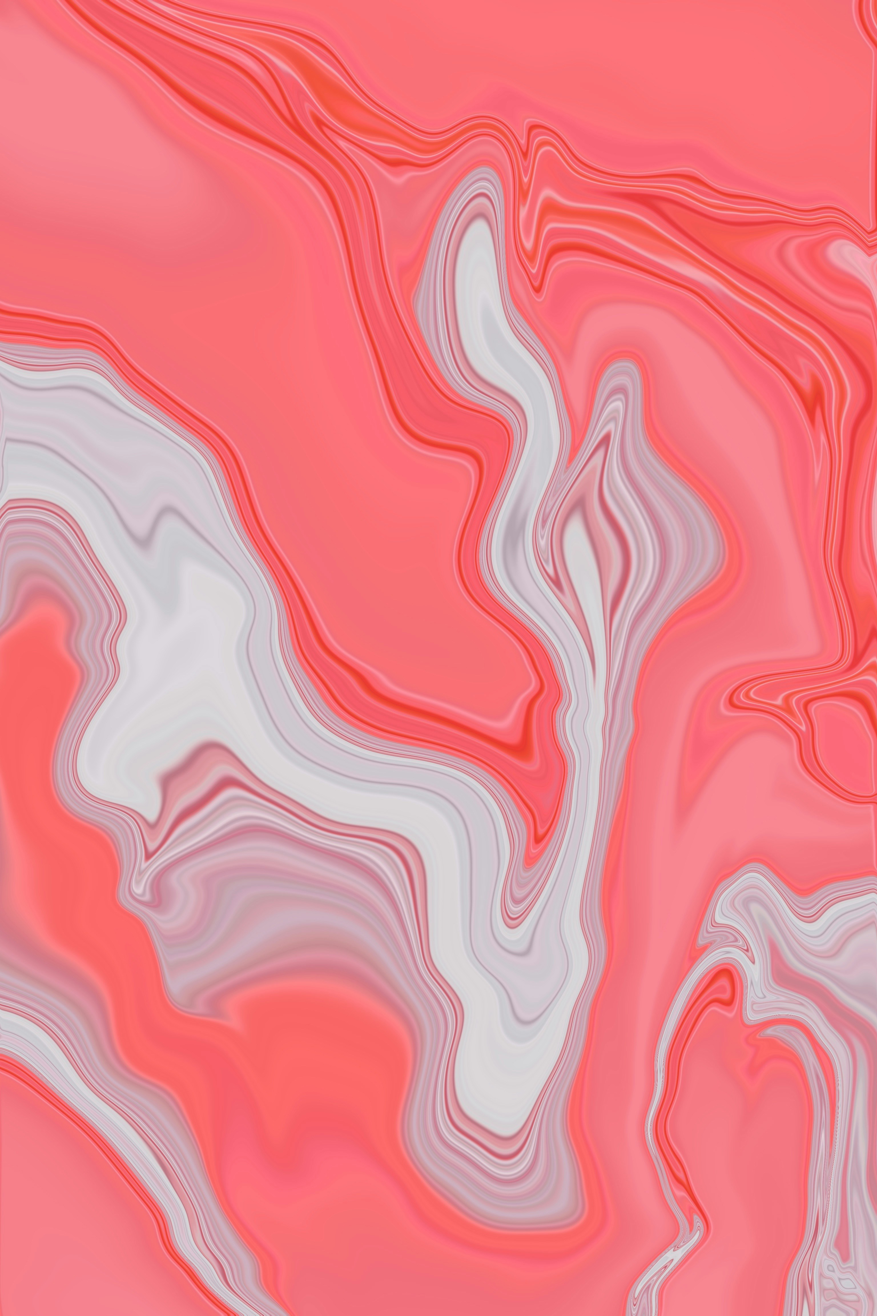 Photo by vaishnavyvs