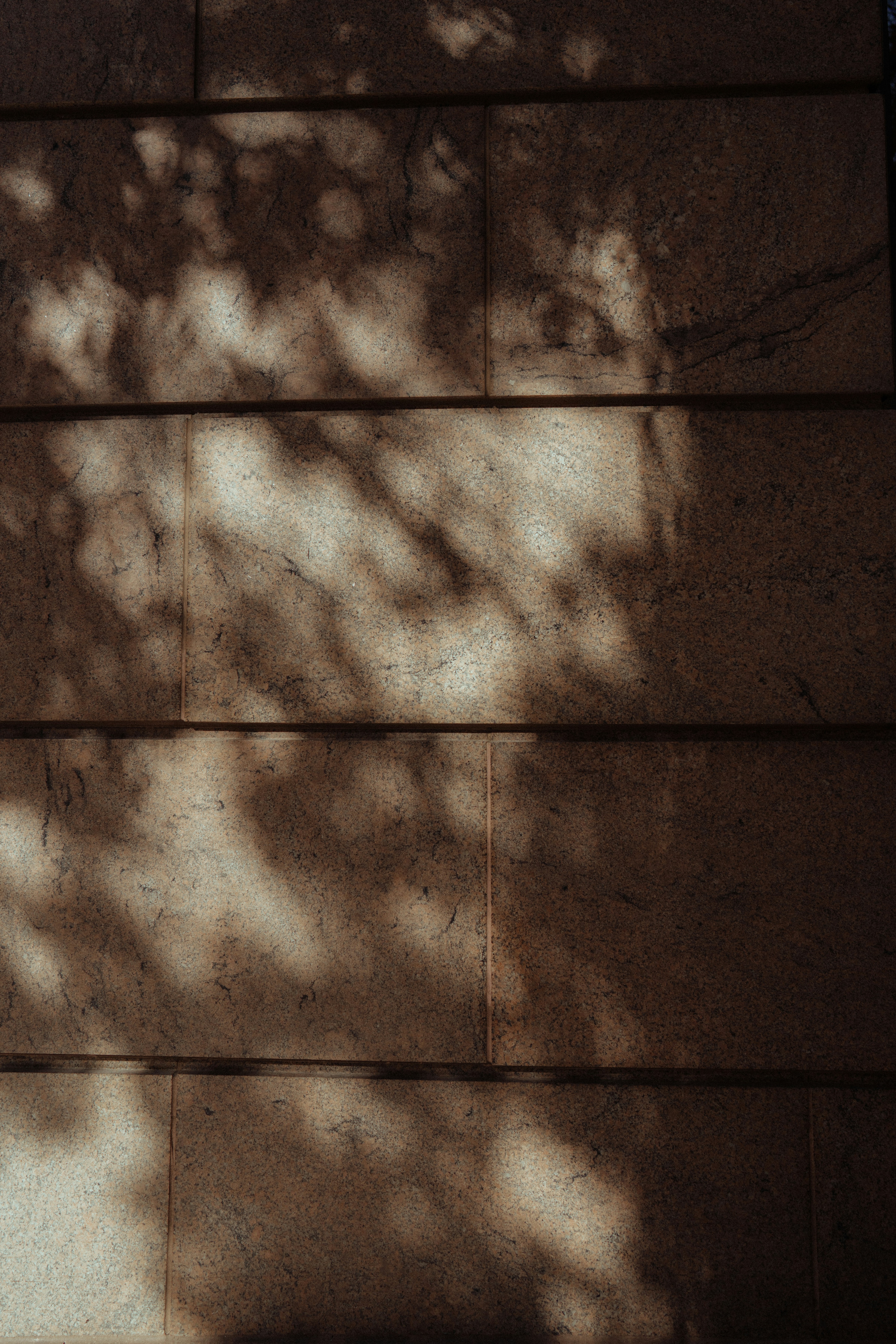 Photo by bettertogether_co