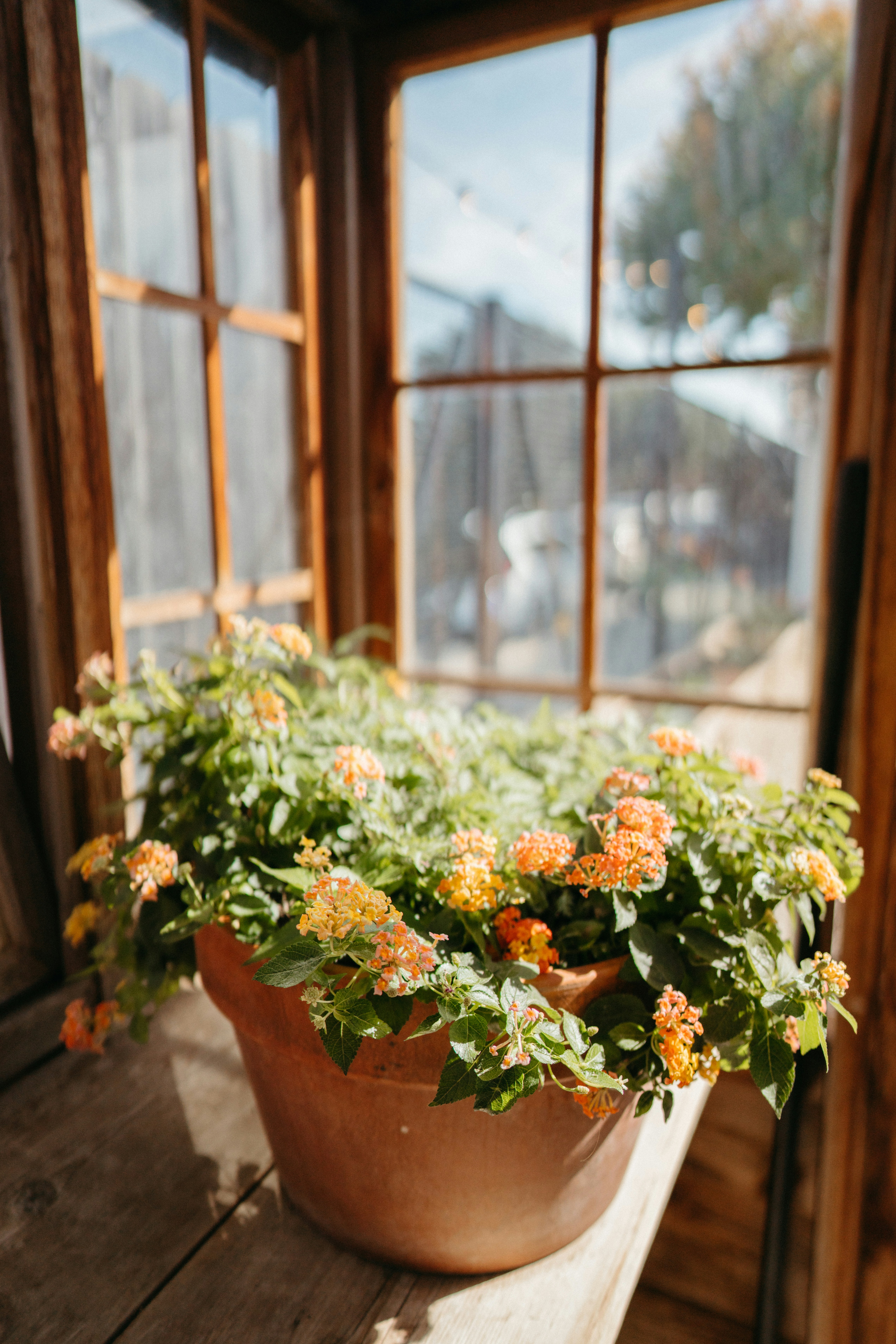 Photo by bettertogether_co