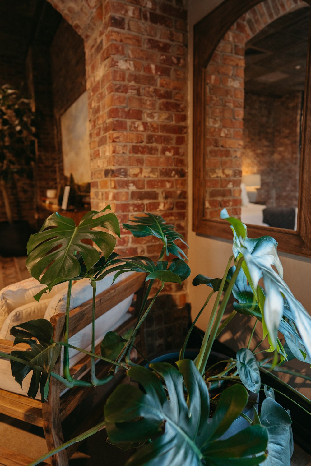 a potted plant sitting on top of a wooden table