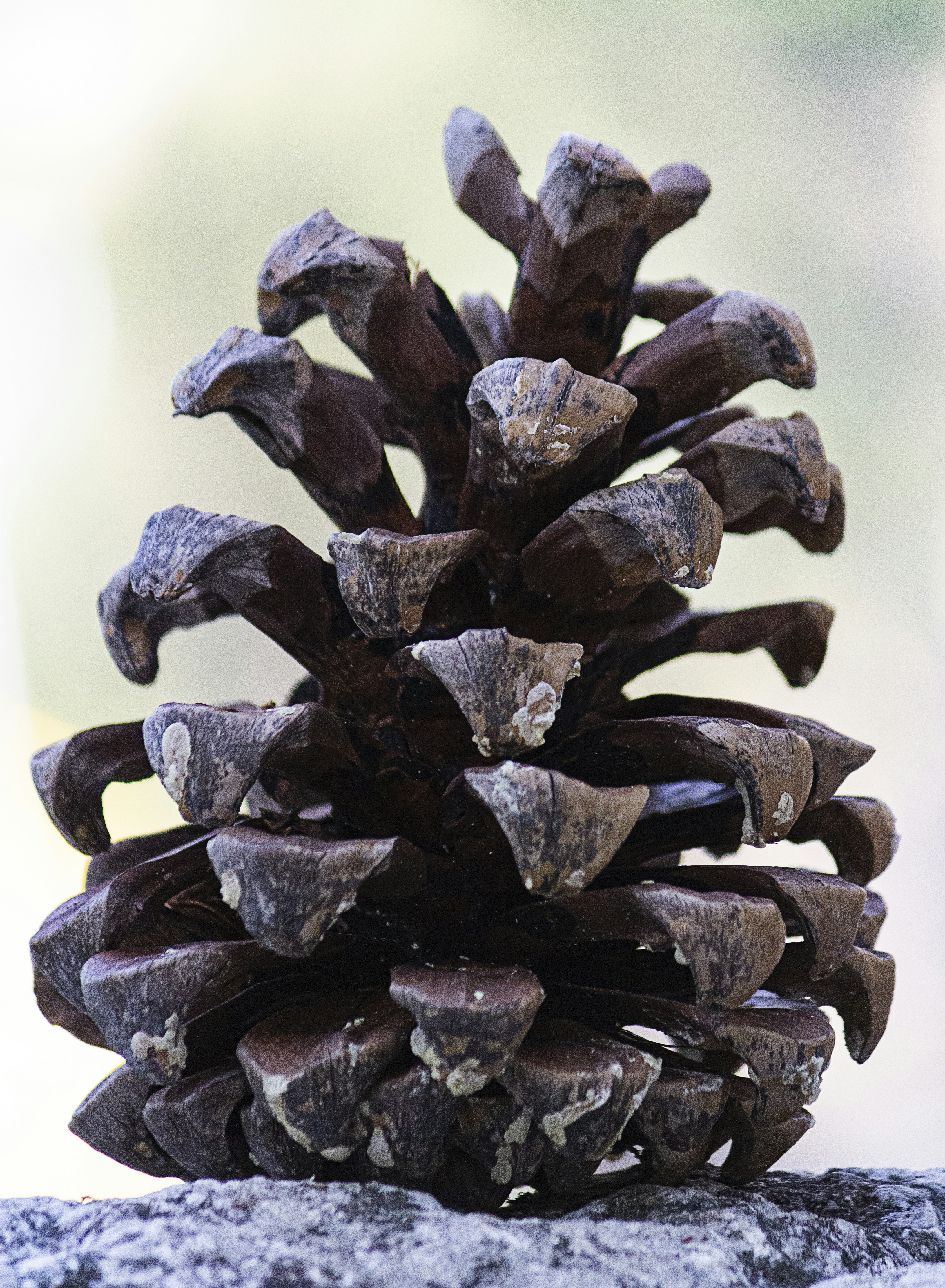 Photo by sandeepdelineates