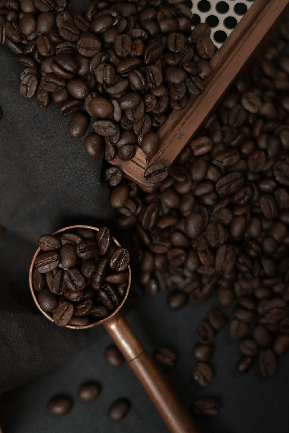 a scoop of coffee sitting on top of a pile of coffee beans