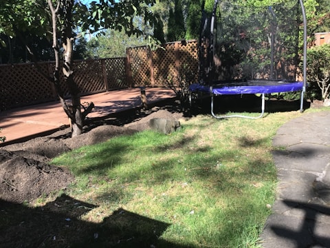 A backyard scene featuring a grassy area with a tree. A blue trampoline is placed on the grass near a wooden lattice fence. The ground includes some dirt mounds, and there is a stone pathway leading through the area. Sunlight casts shadows across the scene, suggesting a bright, sunny day.