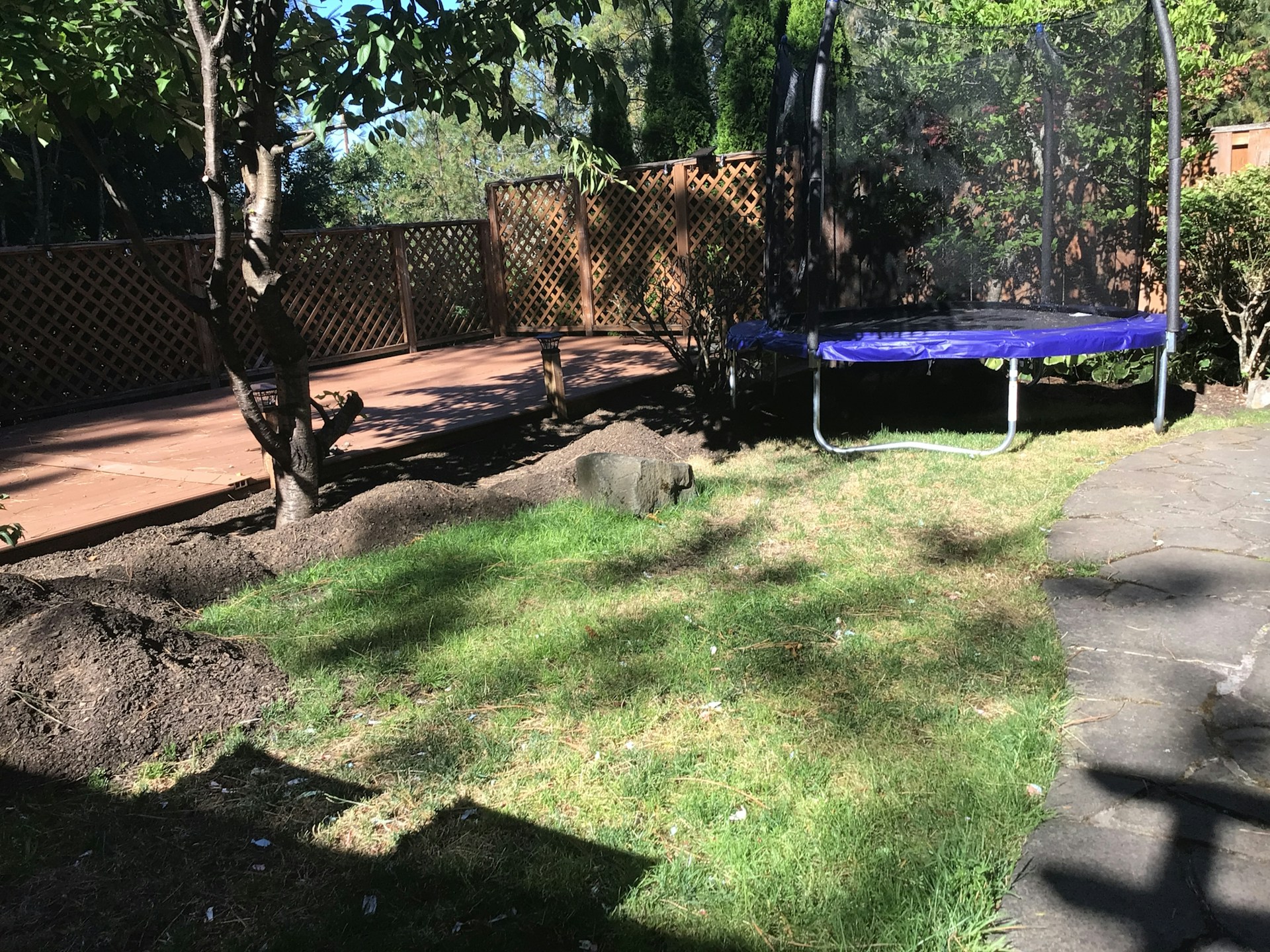 woman wearing yellow long-sleeved dress under white clouds and blue sky during daytime