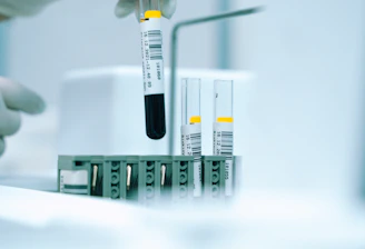 a gloved hand holding a test tube filled with liquid