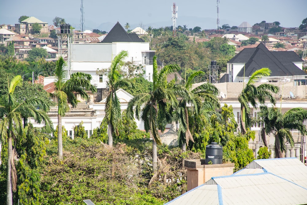 a view of a city with palm trees in the foreground