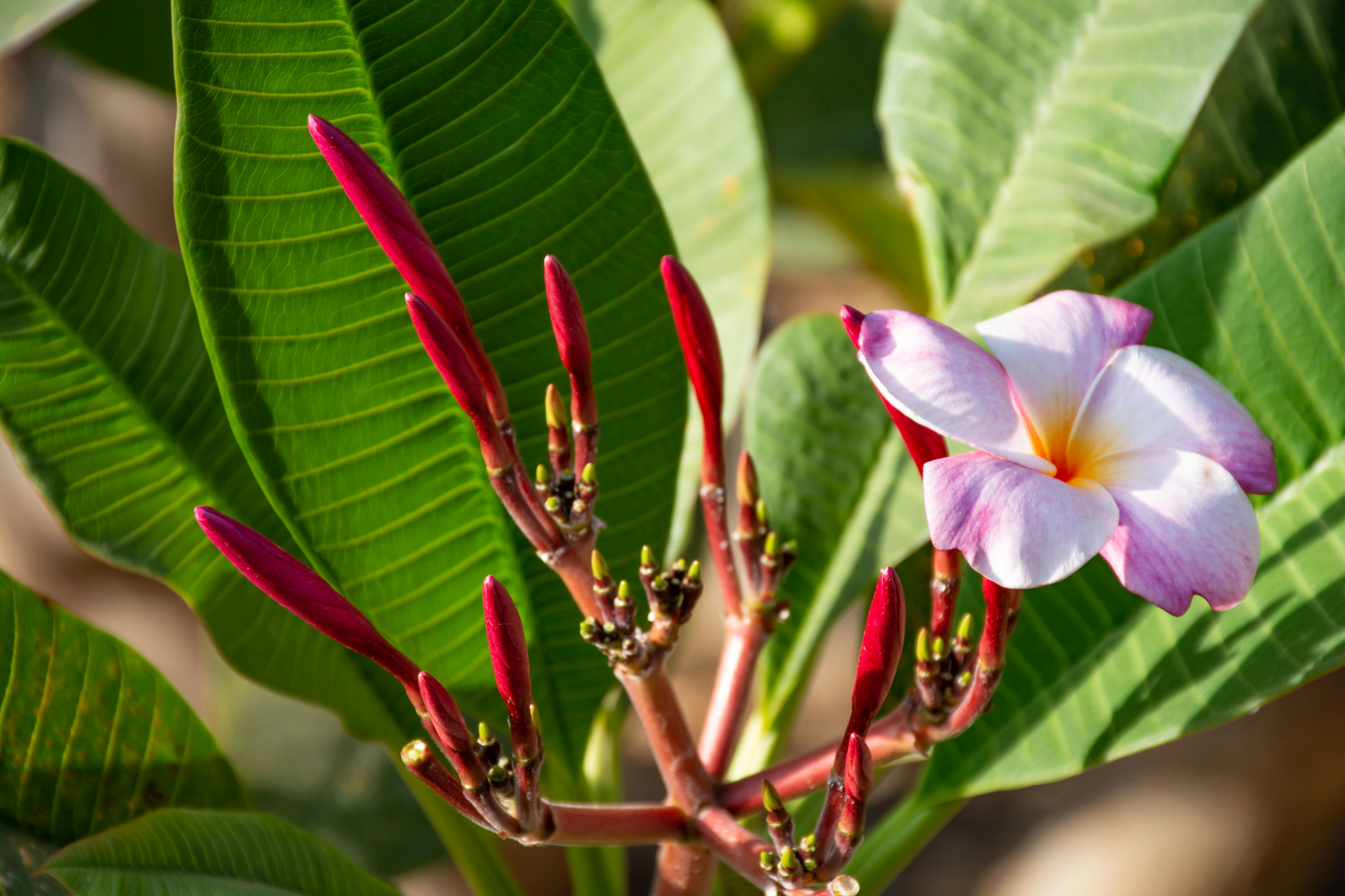 Photo by cosmascares