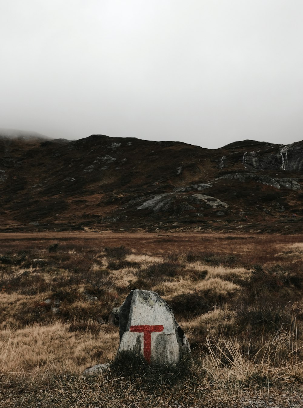 a rock in a field with a red cross on it