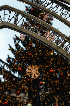 An ornate arch of holiday lights frames a large Christmas tree in the background, adorned with numerous glowing lights and red ornaments. A prominent snowflake-shaped light decoration is visible at the center against the blurred tree.