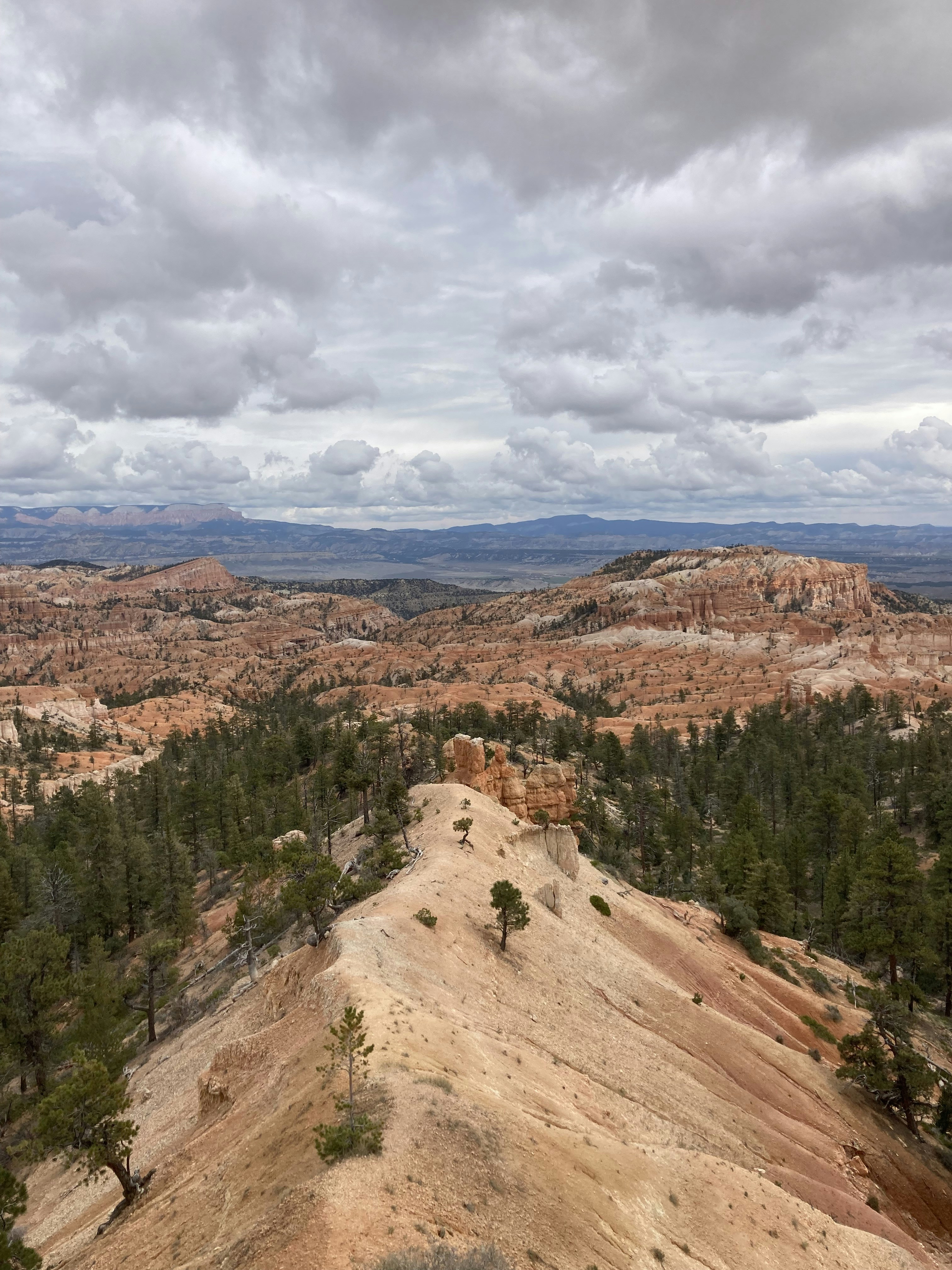 Photo by gabriel_shimoni__