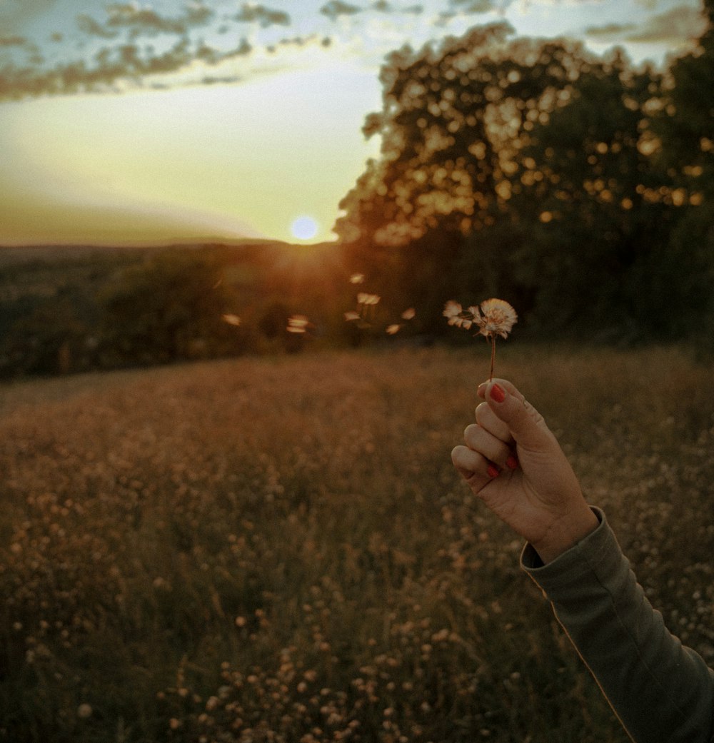 a woman is holding a flower in a field