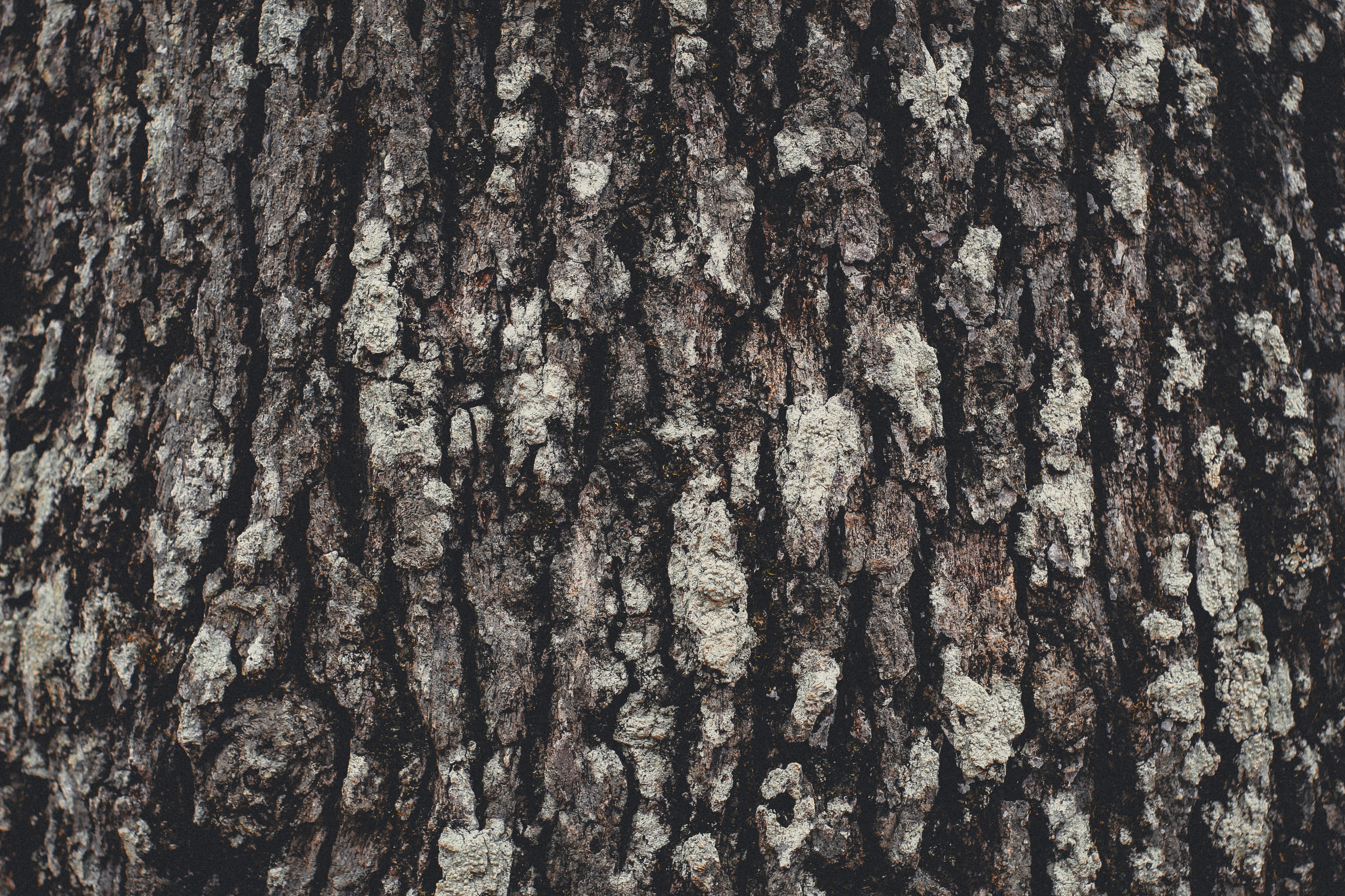 Photo by jpetersbydesign