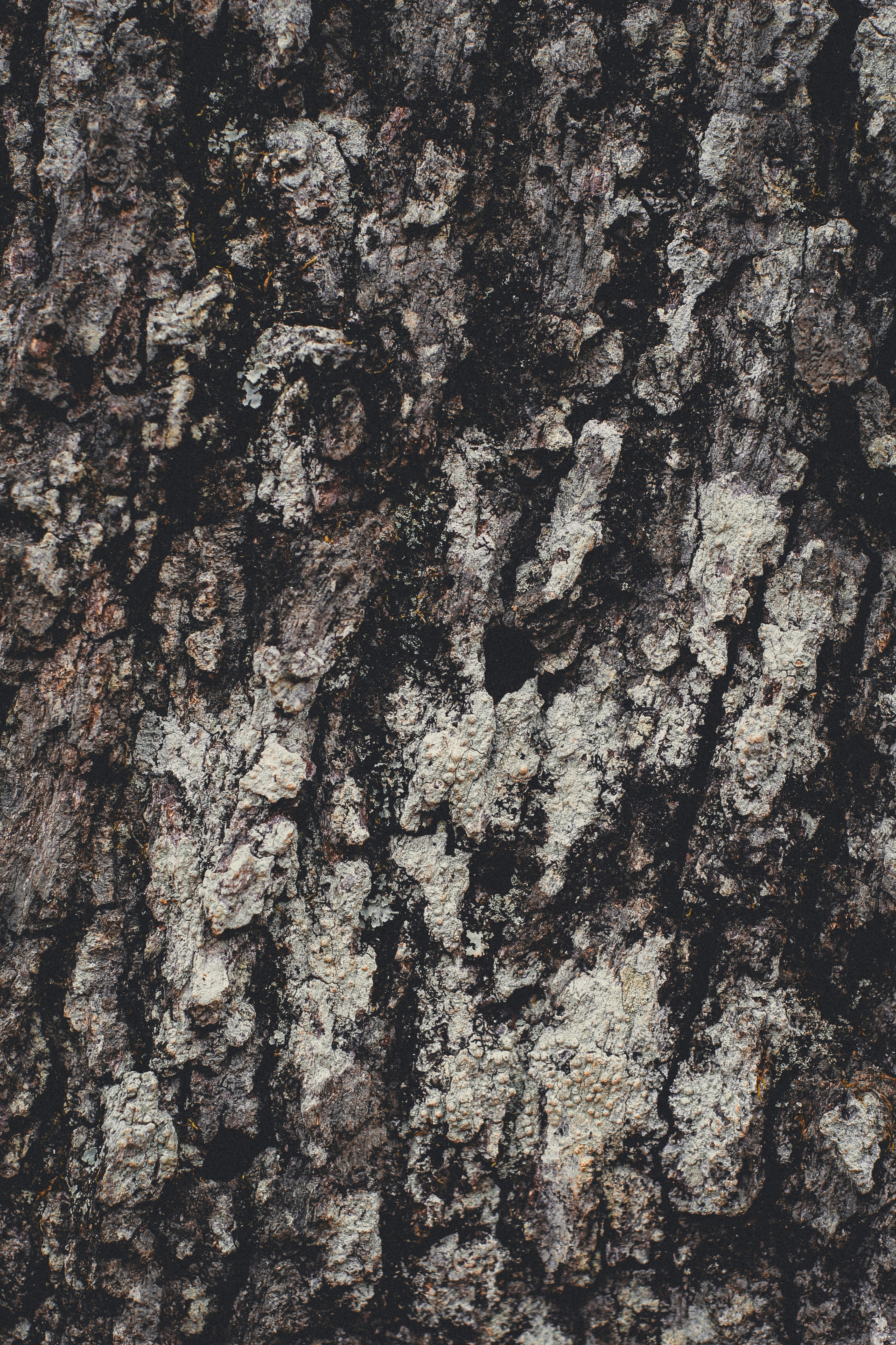 Photo by jpetersbydesign