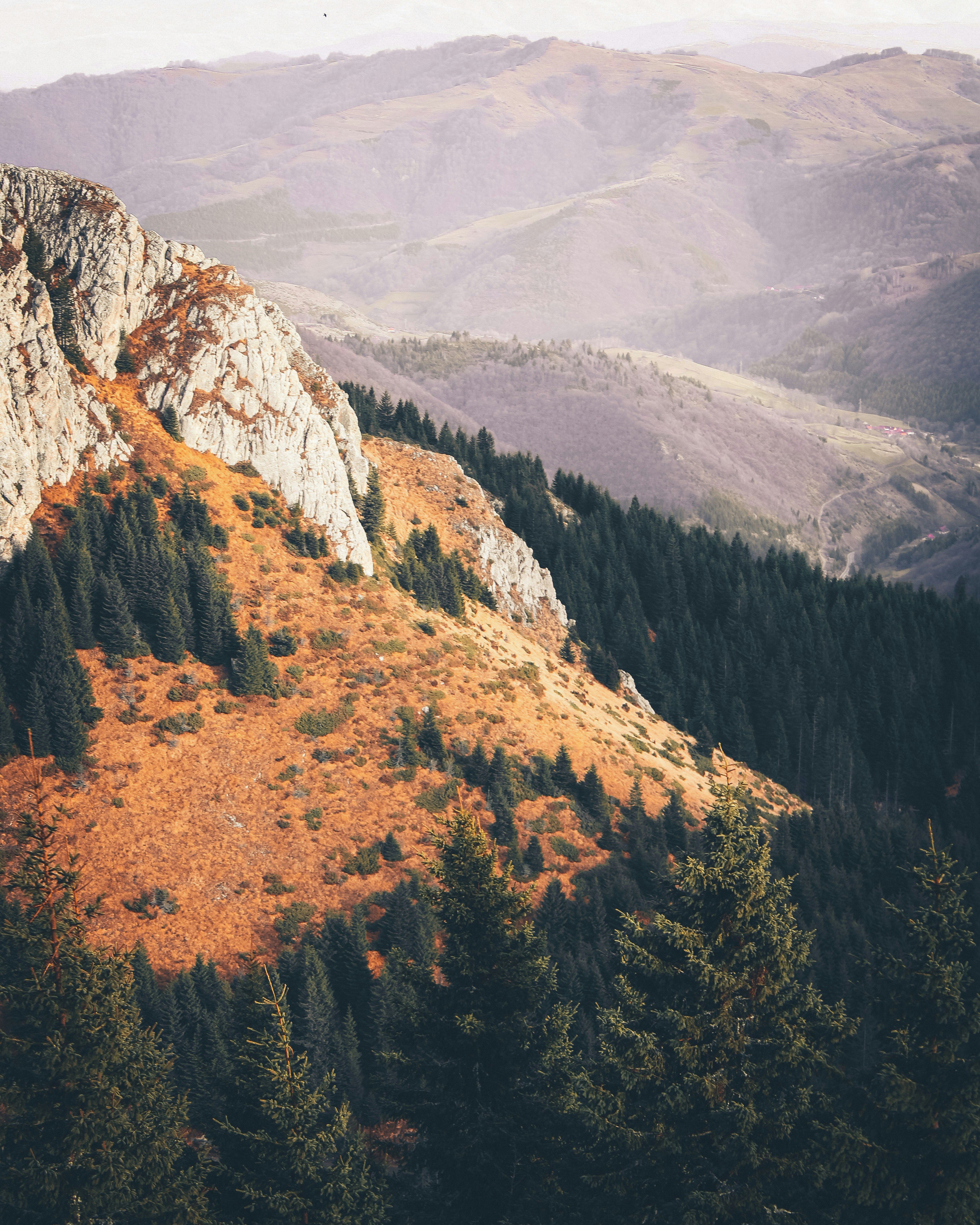 Photo by matijabutric