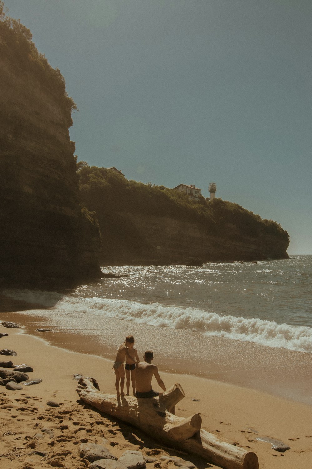 a couple of people standing on top of a log on a beach