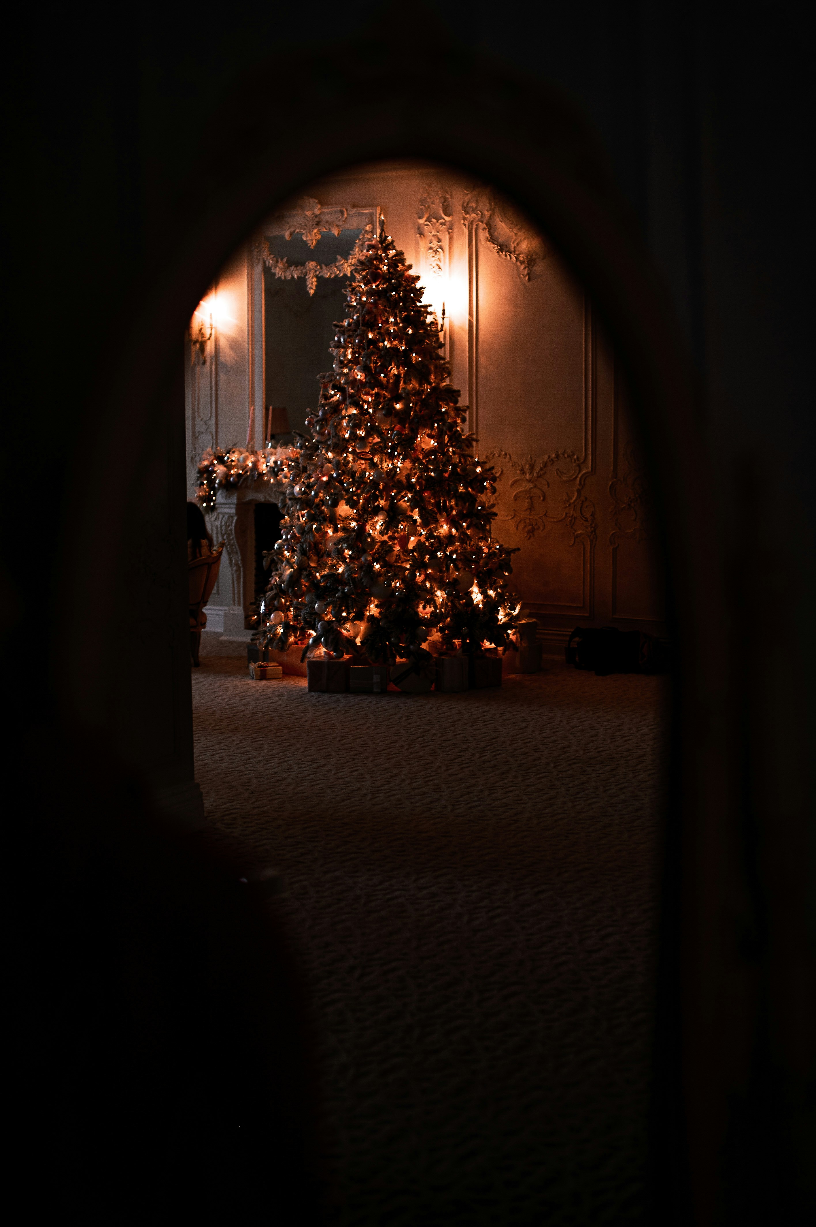 Un árbol de Navidad se ilumina en una habitación oscura foto – Imagen de  Navidad gratuita en Unsplash, image size:3000x4508