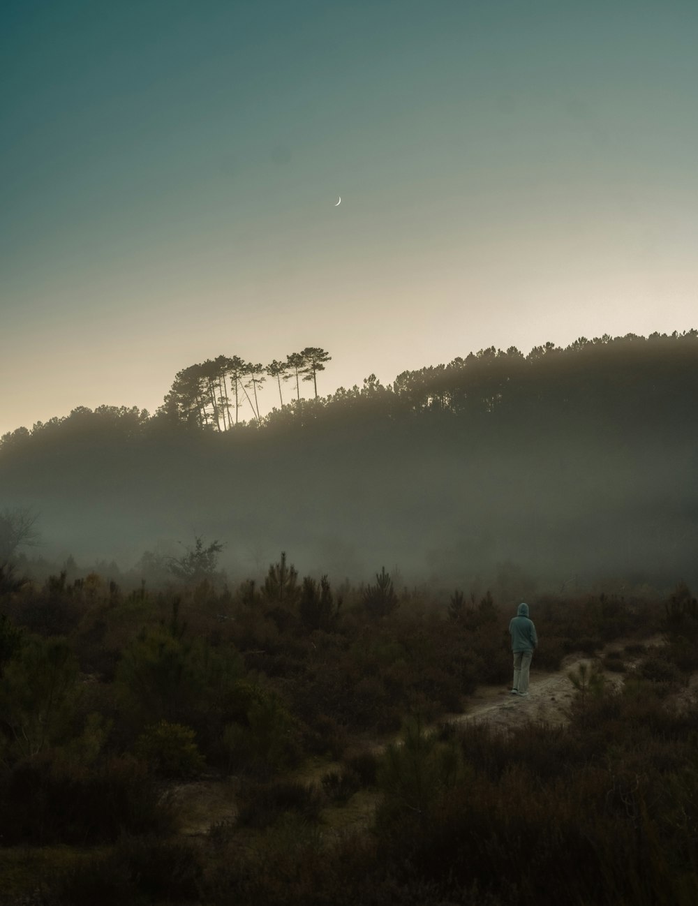 a person standing in the middle of a field