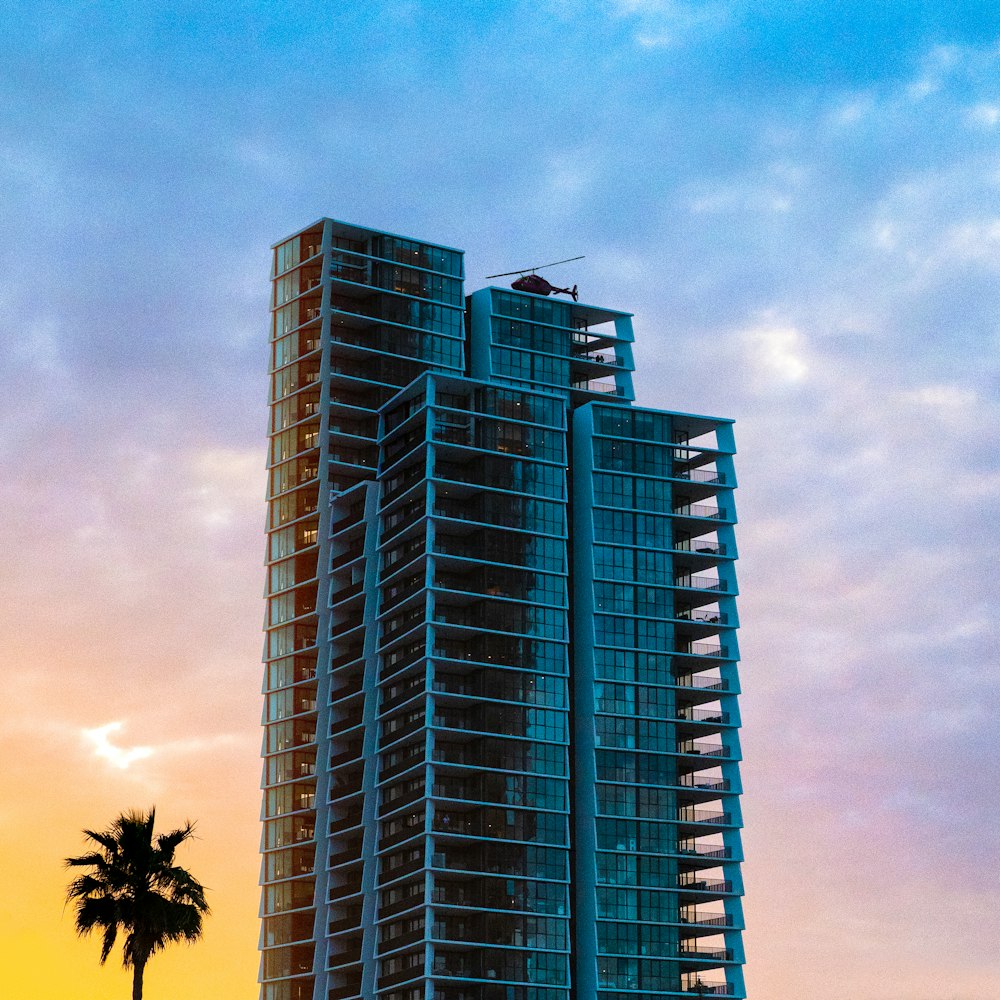 a tall building sitting next to a palm tree