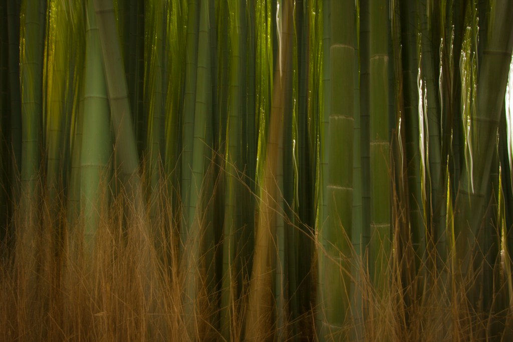 Green Bamboo Stalks