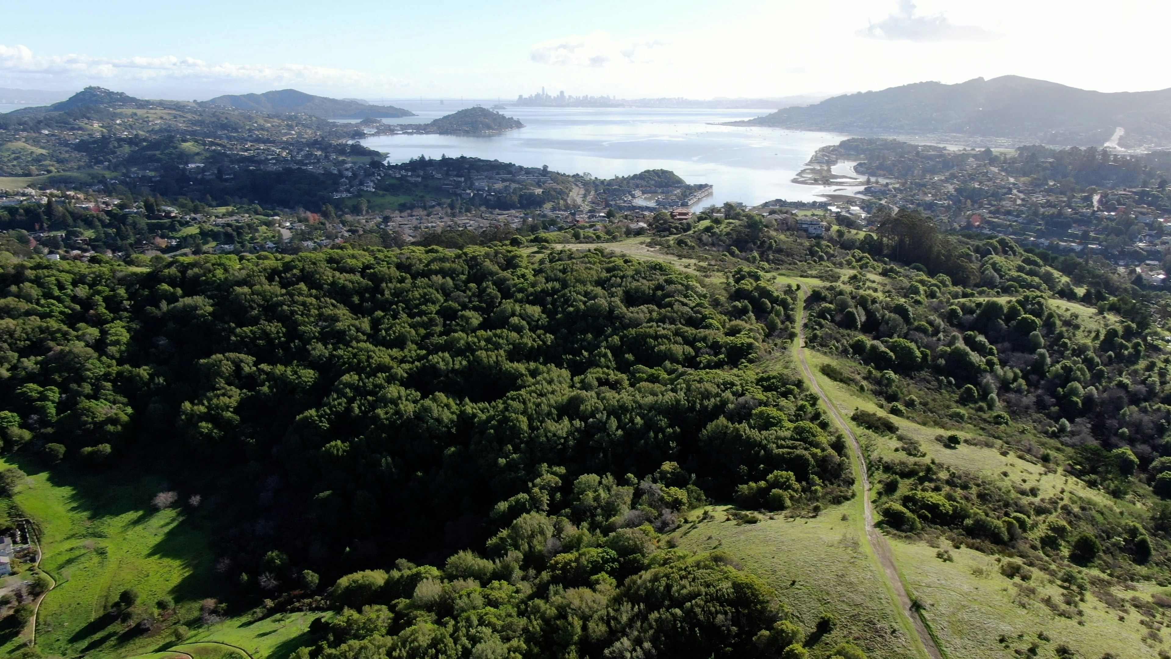 Dolliver Park