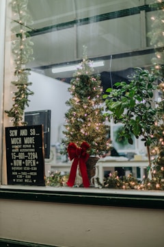 A small Christmas tree adorned with lights and a prominent red bow is displayed in a shop window. Next to it, there is a sign for a business offering garment repair and alterations. The interior background shows table and chair setups, with another small plant visible.