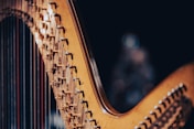 a close up of a musical instrument with strings