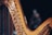 A detailed close-up of a harp, focusing on its curved wooden frame and numerous strings. The intricate tuning pins and levers are clearly visible. The background is dark, causing the harp to stand out prominently.