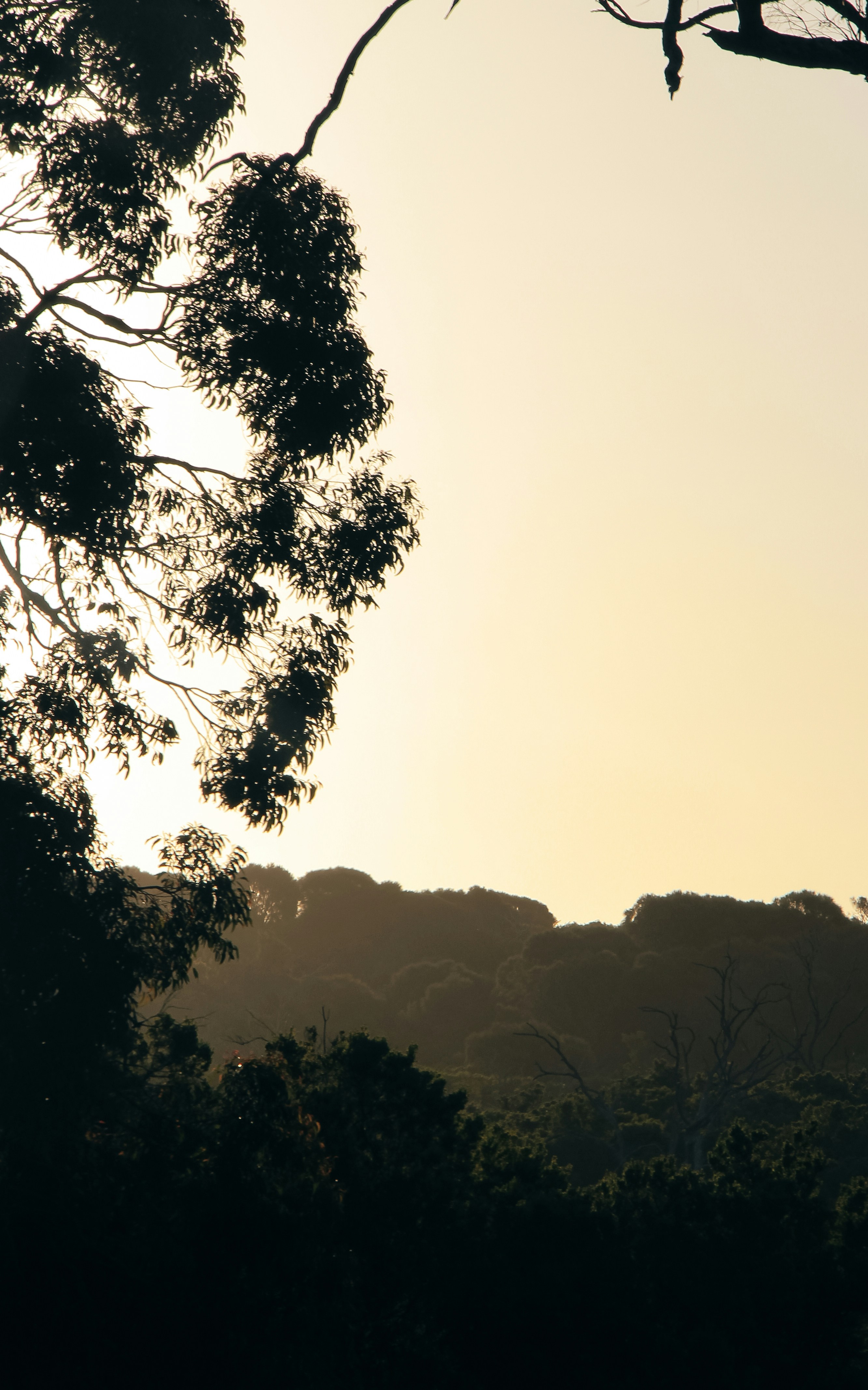 Photo by coffeecurtains