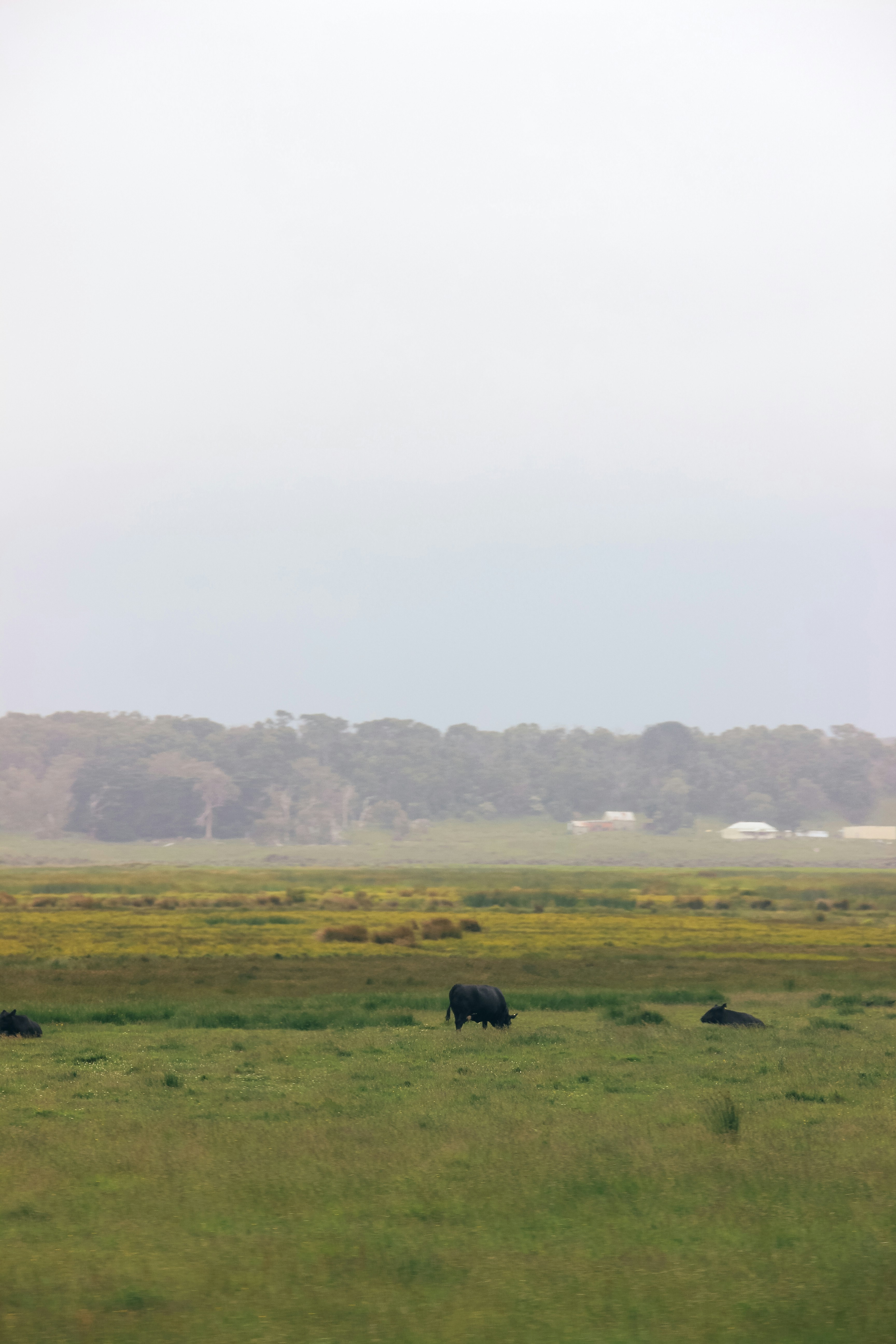 Photo by coffeecurtains