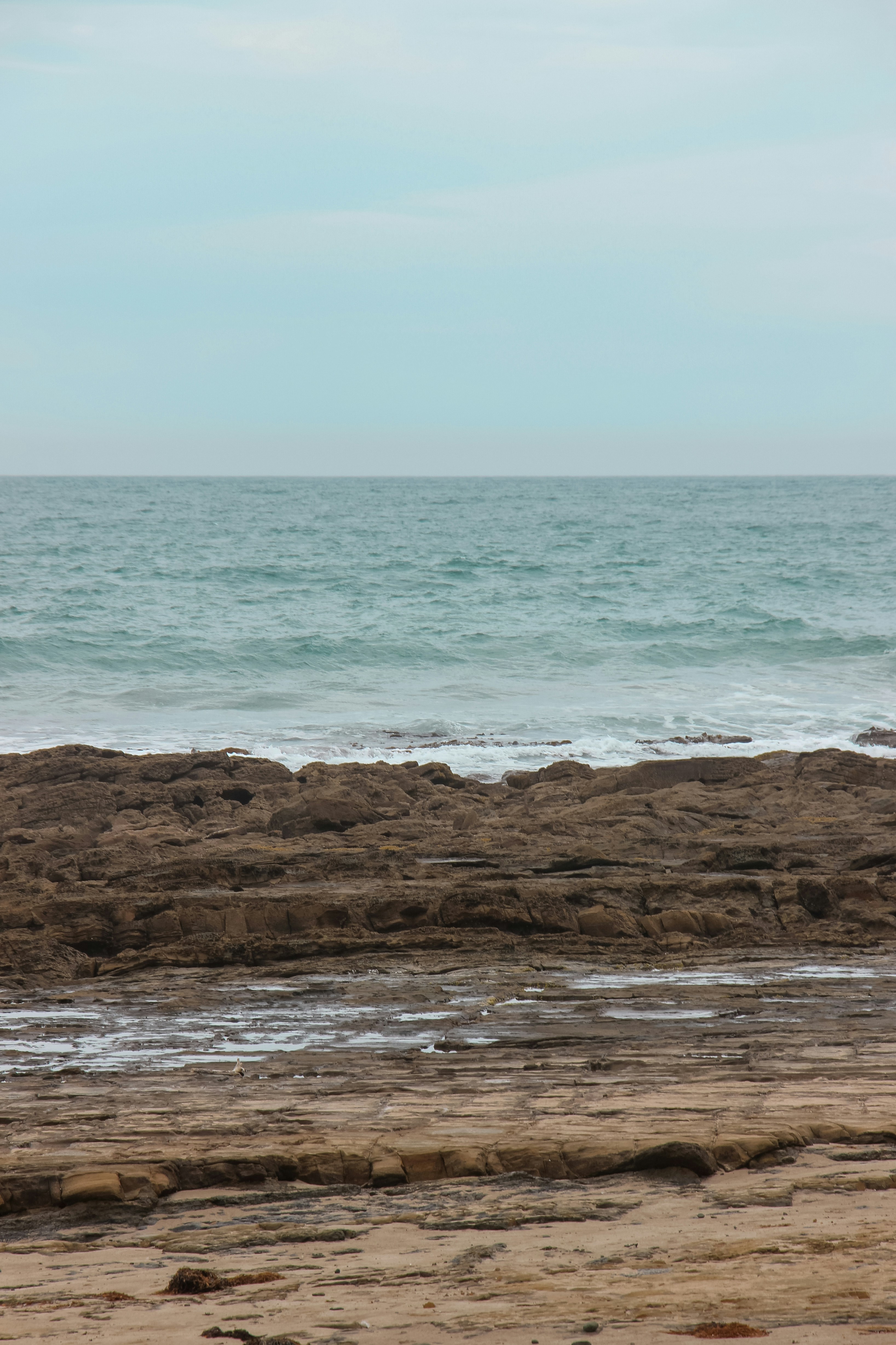 Photo by coffeecurtains