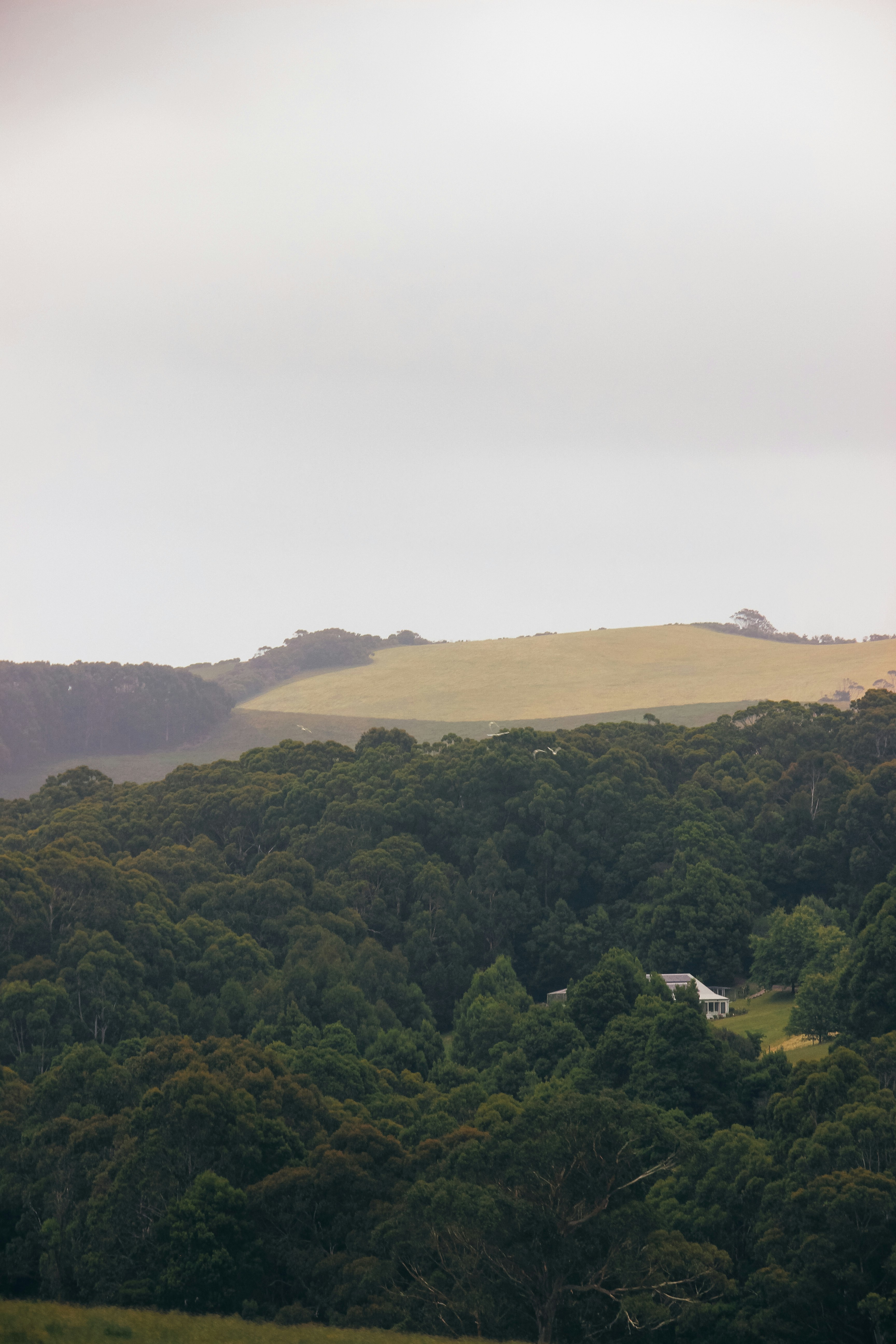 Photo by coffeecurtains