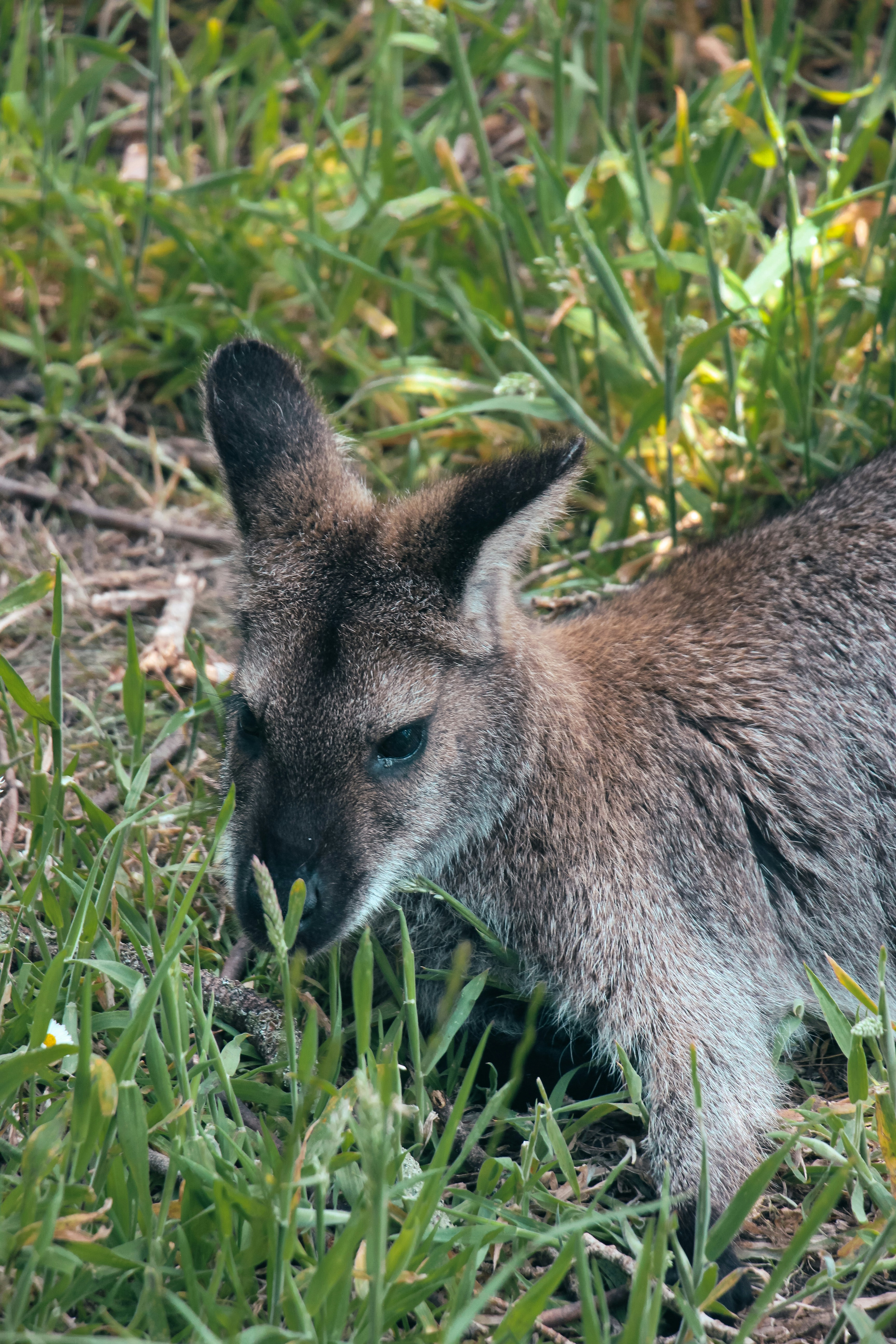 Photo by coffeecurtains