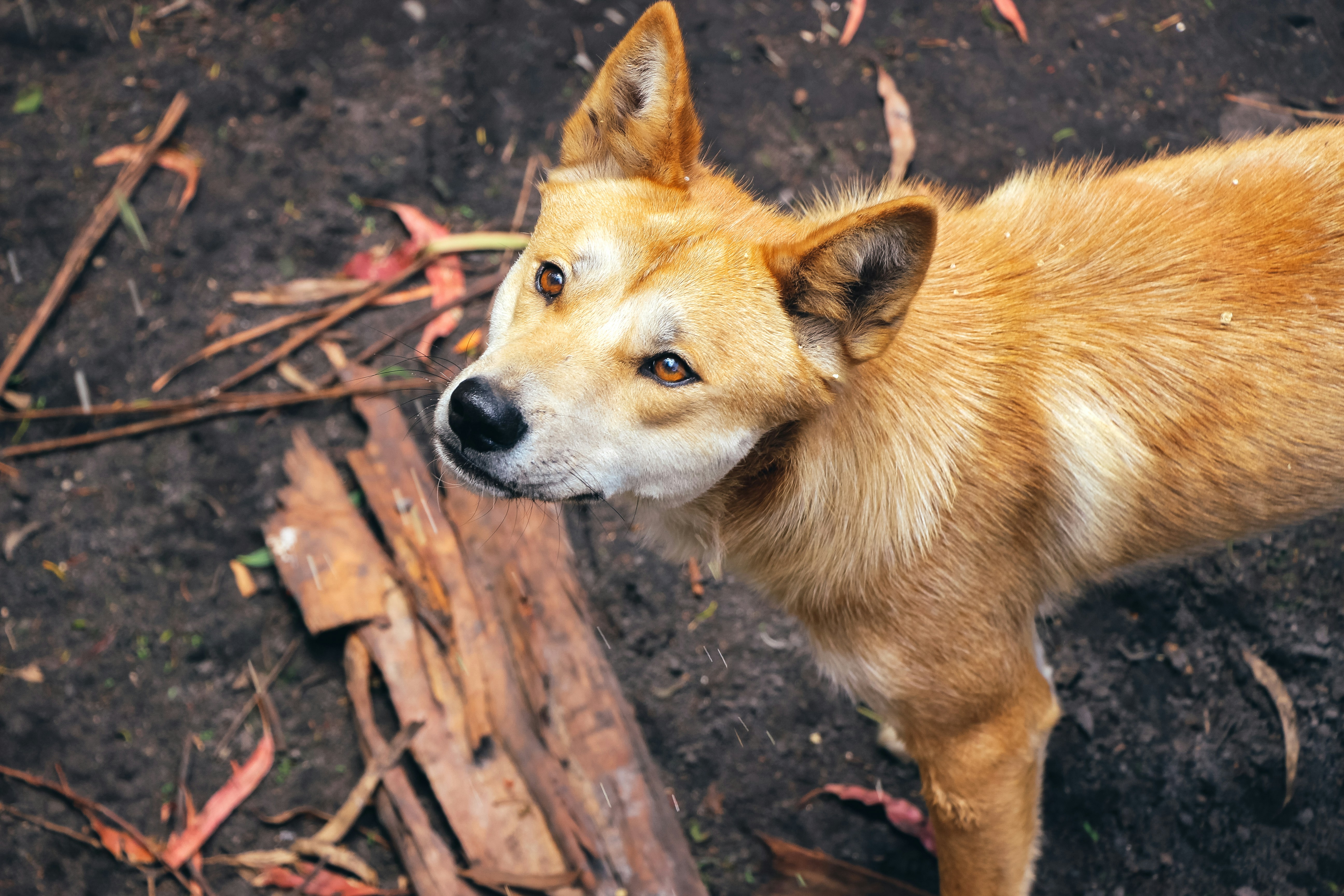 Photo by coffeecurtains