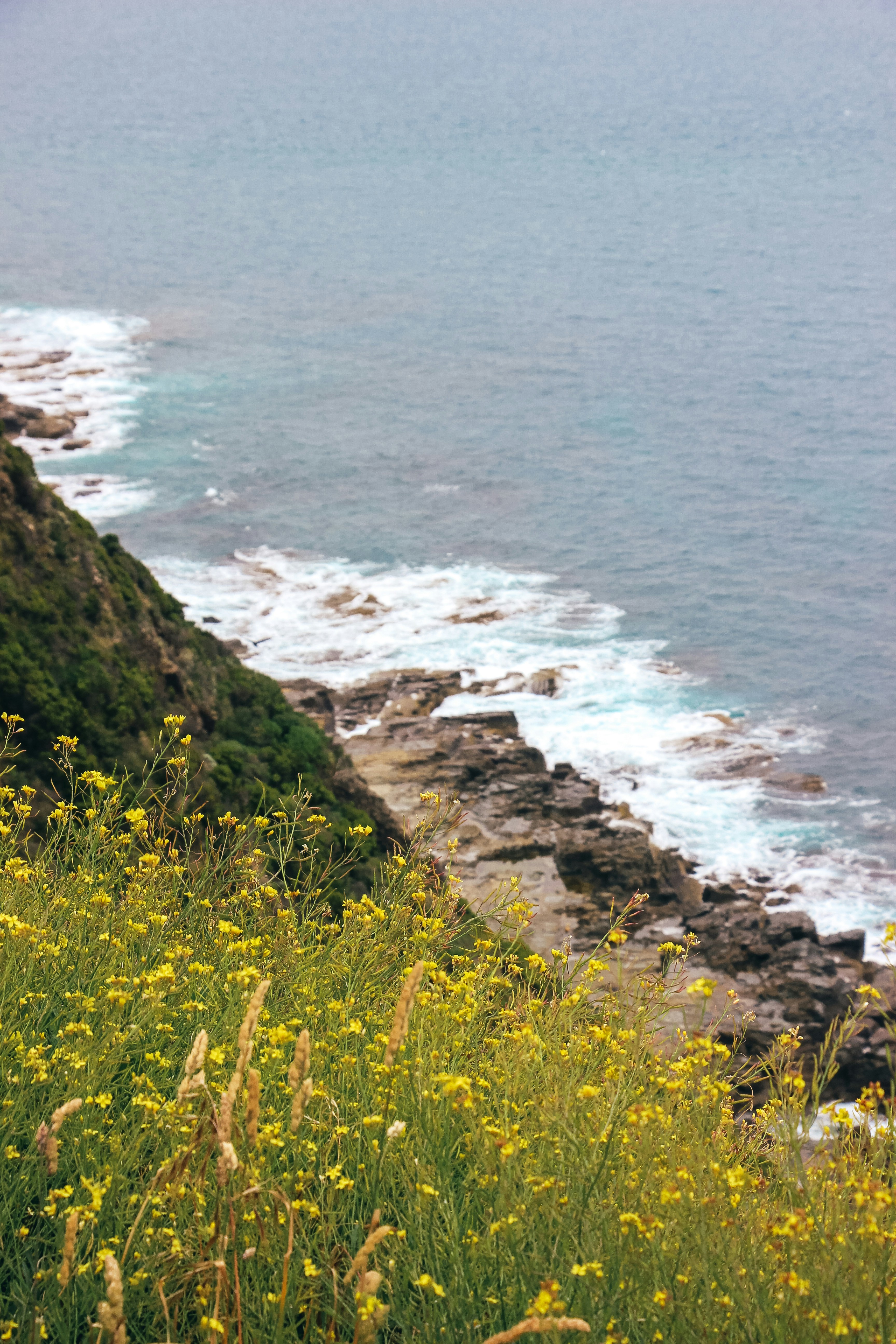 Photo by coffeecurtains