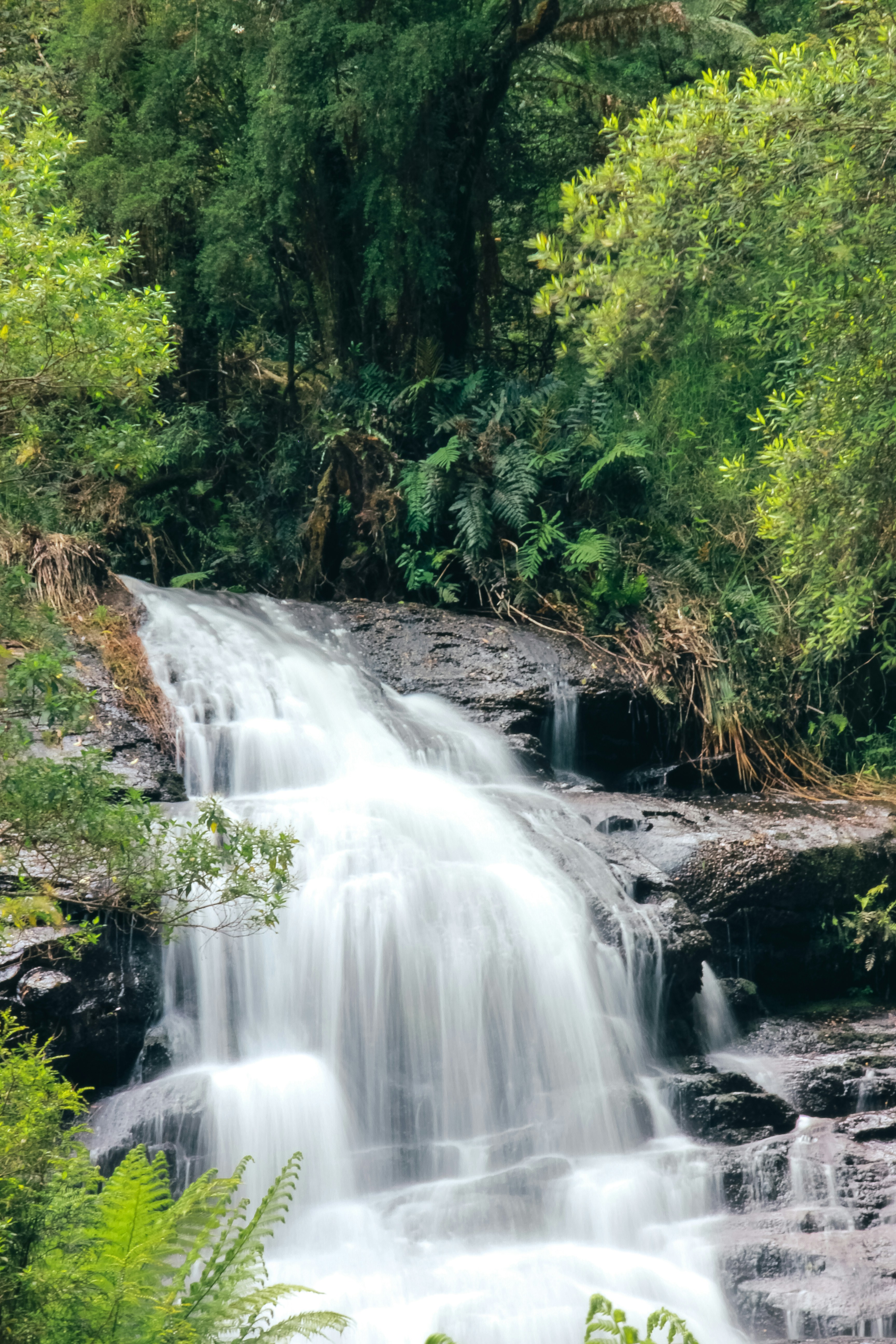 Photo by coffeecurtains