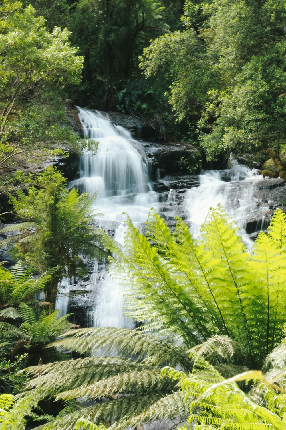 a small waterfall surrounded by lush green trees