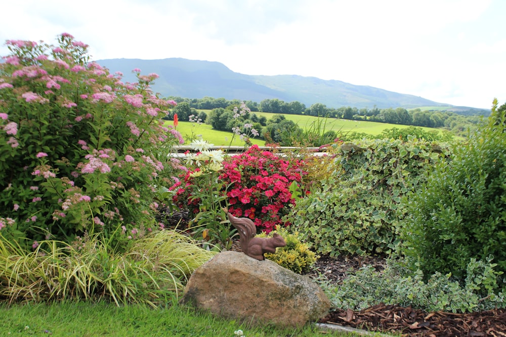 a garden filled with lots of different types of flowers