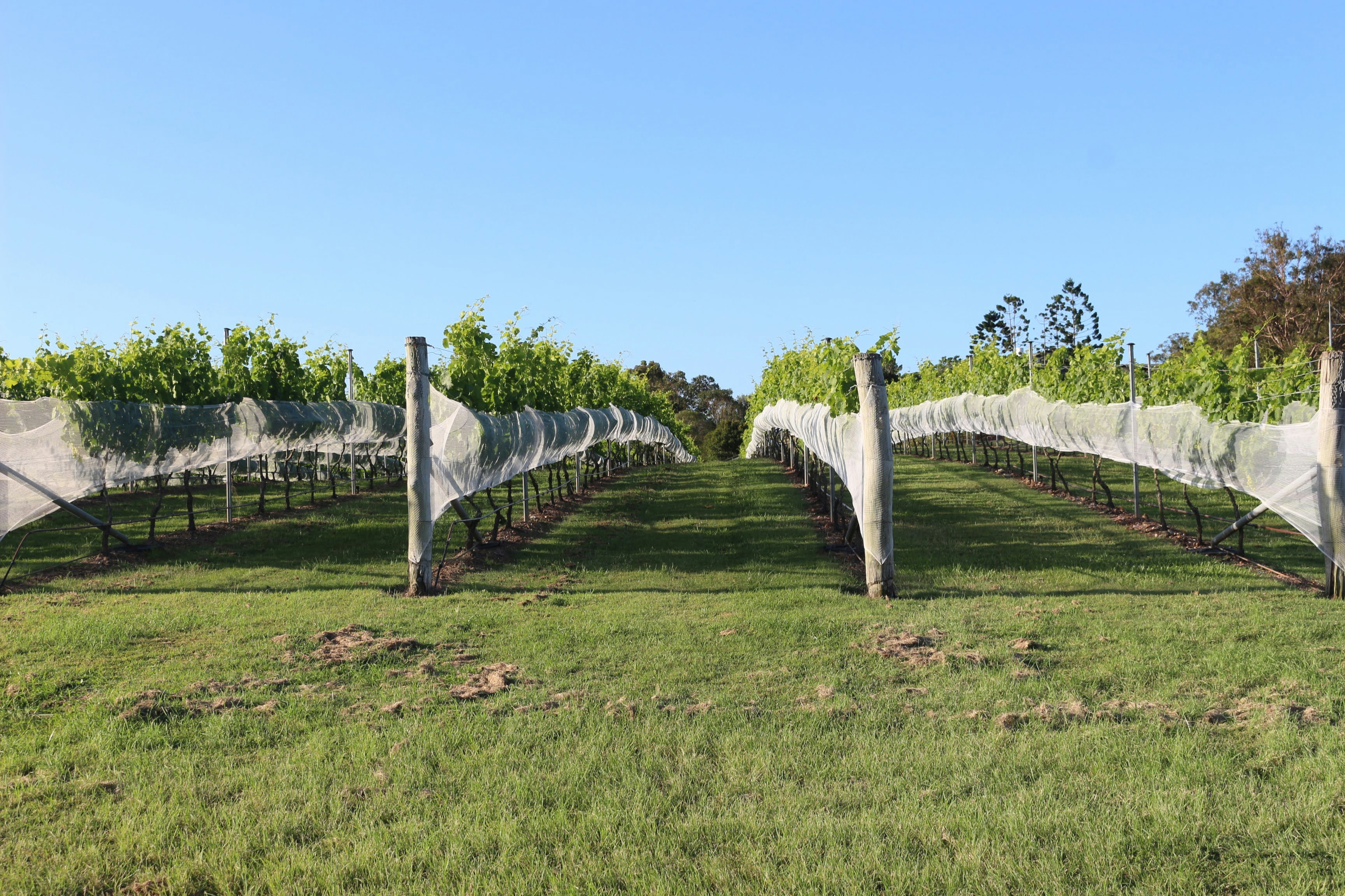 Photo by ameliahabrowne