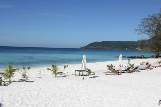 a beach with lounge chairs and umbrellas on it