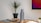 A minimalist workspace setup featuring a potted plant, a silver insulated water bottle, a clapperboard, and a small wooden tray with various items. A computer monitor displaying colorful graphics is mounted on the wall. The environment is bright and organized, with a focus on productivity and aesthetics.