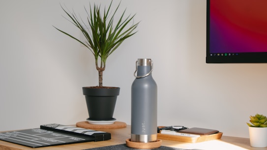 A minimalist workspace setup featuring a potted plant, a silver insulated water bottle, a clapperboard, and a small wooden tray with various items. A computer monitor displaying colorful graphics is mounted on the wall. The environment is bright and organized, with a focus on productivity and aesthetics.